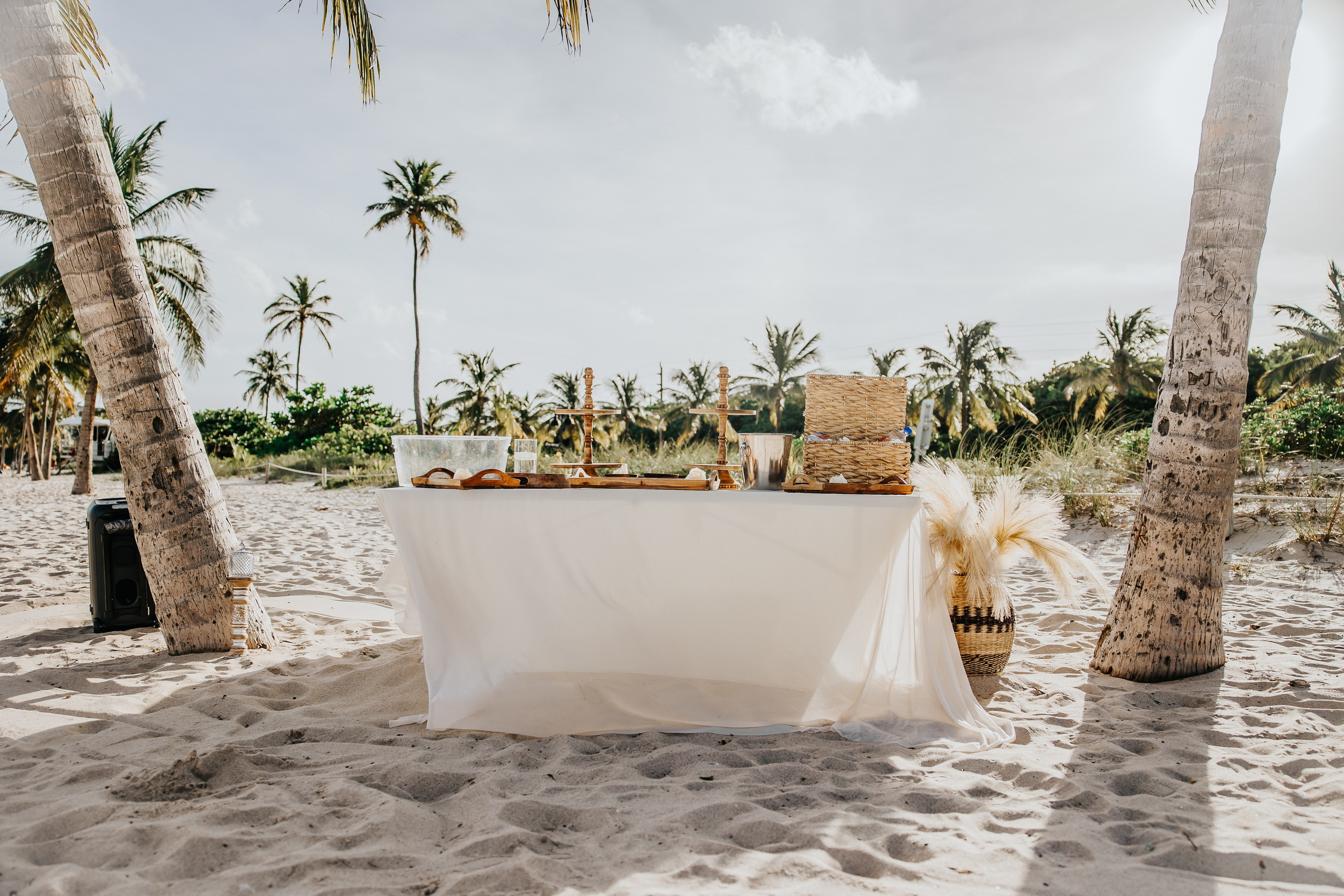 Heather & Jose wedding. Alya Leto Photographer