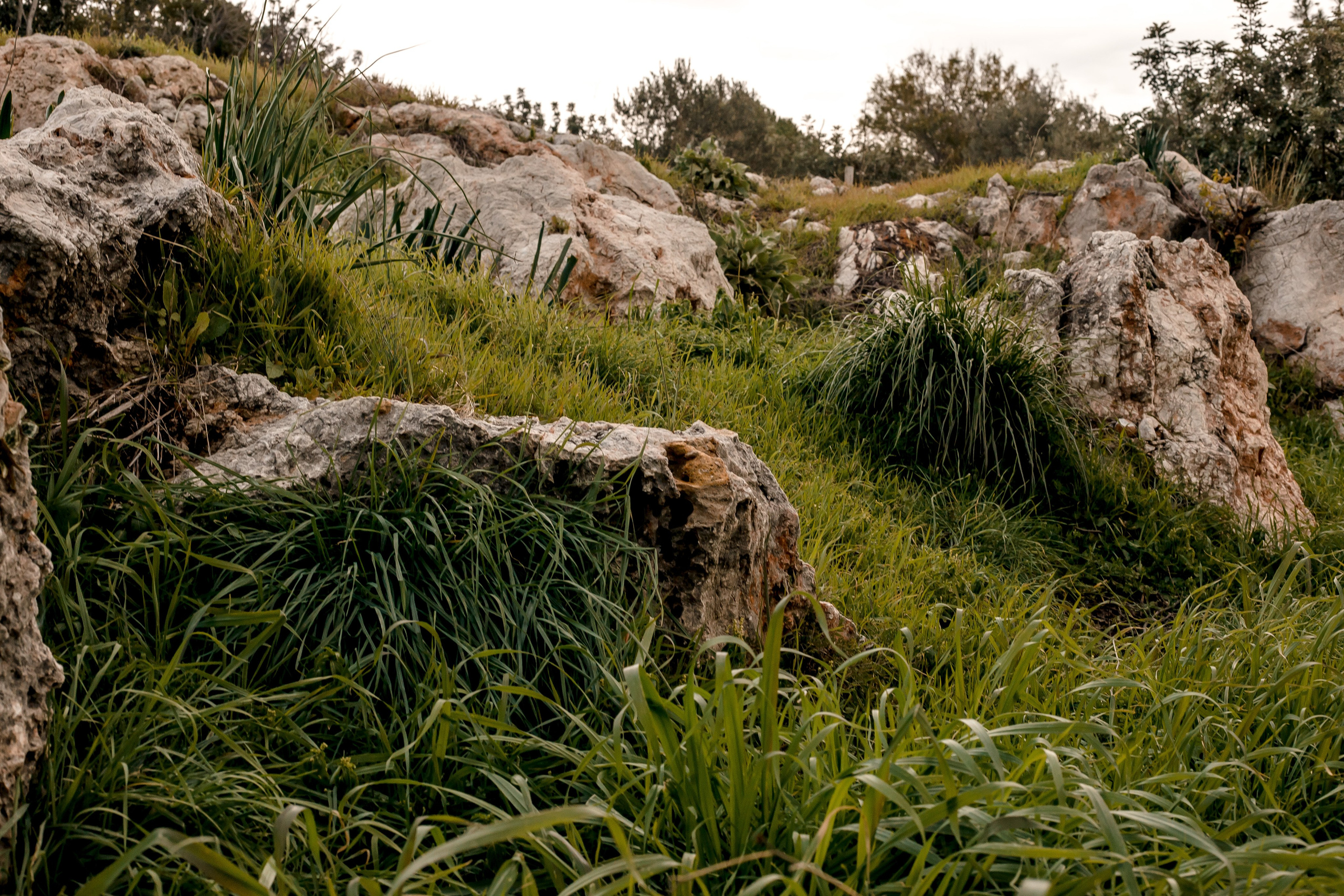 Turkey, Alanya. Art Photographer