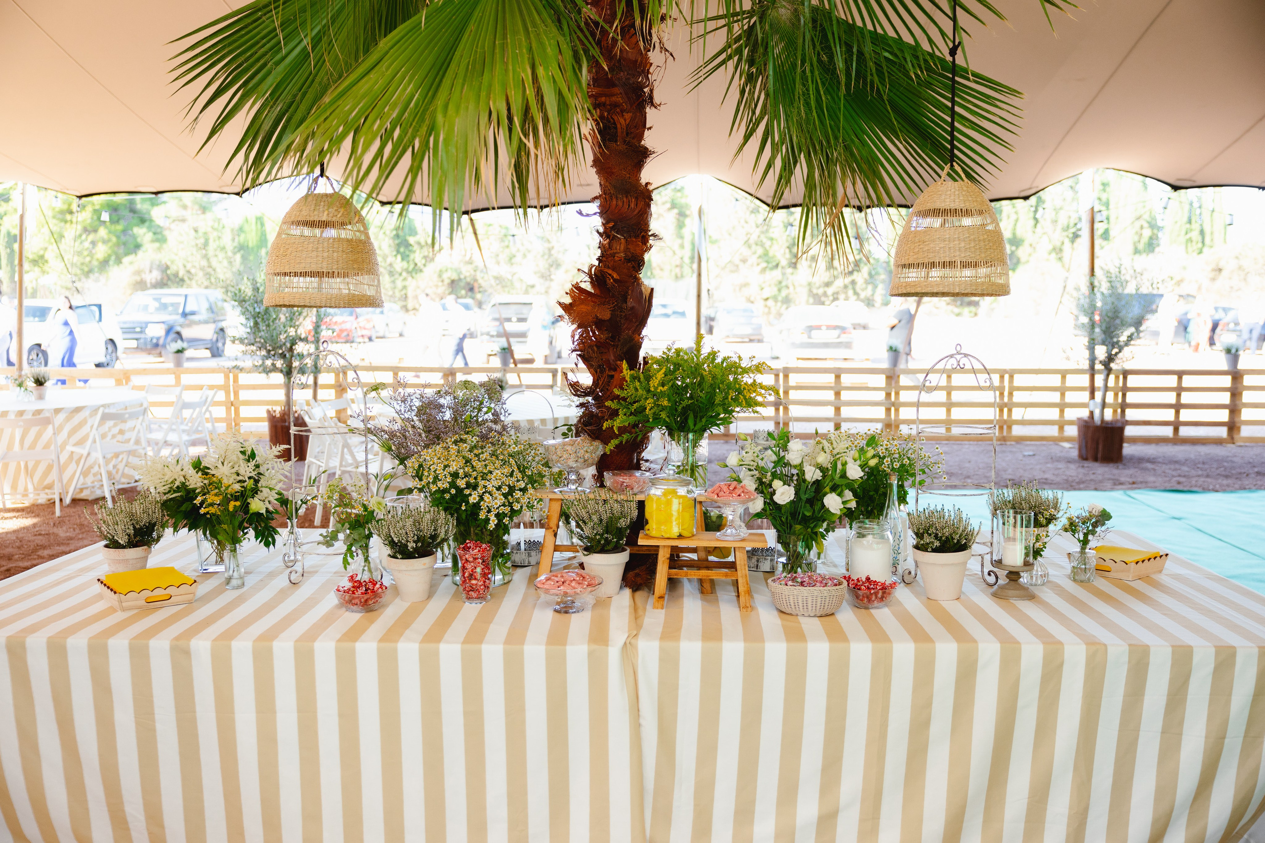 Mª ÁNGELES & ALEJANDRO. Fotógrafo y Videografo de bodas y eventos