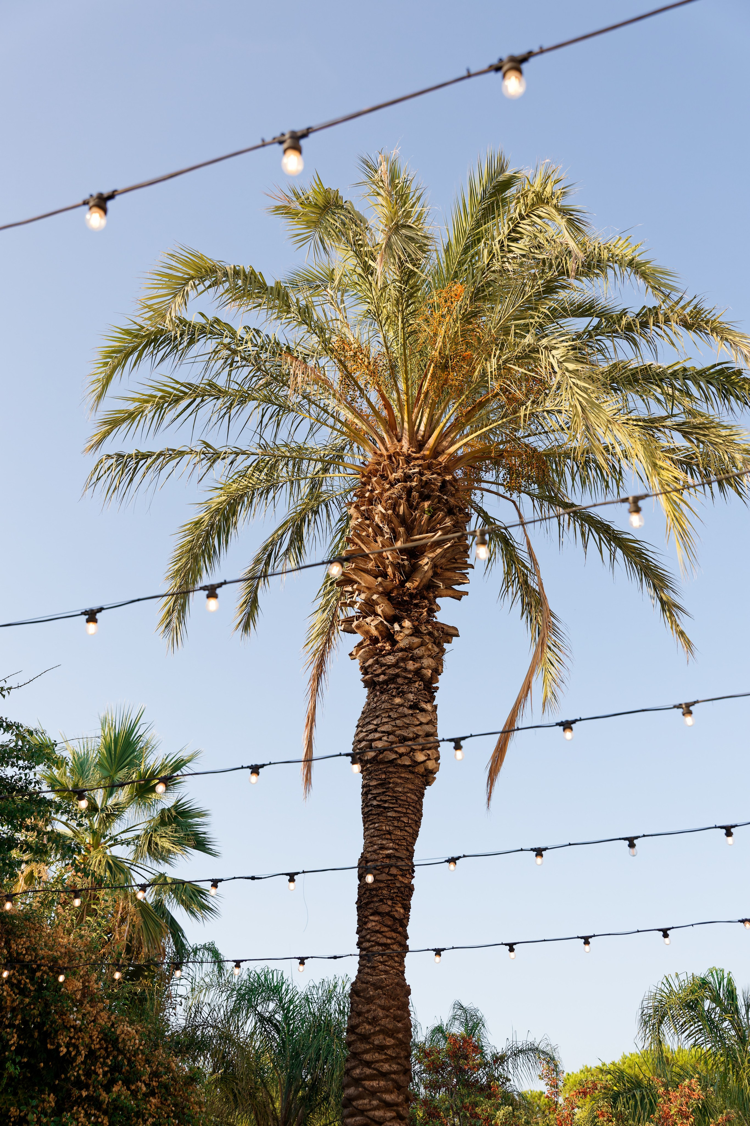 Haldi Ceremony & Mehndi Night & pre-wedding dinner, Barcelona