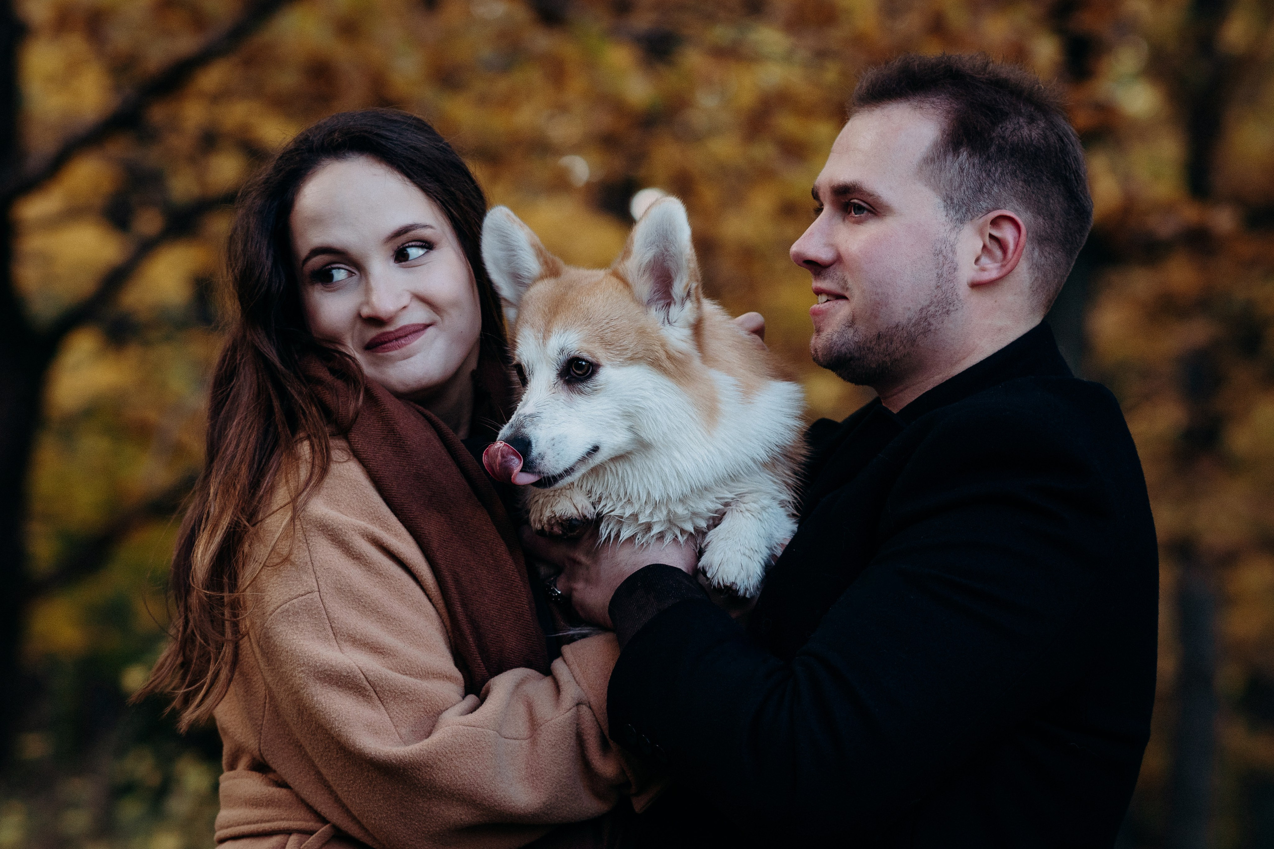 Liisa, Alexander & Marsel. Фотограф-анималист в Таллинне, Катя Лайсаар