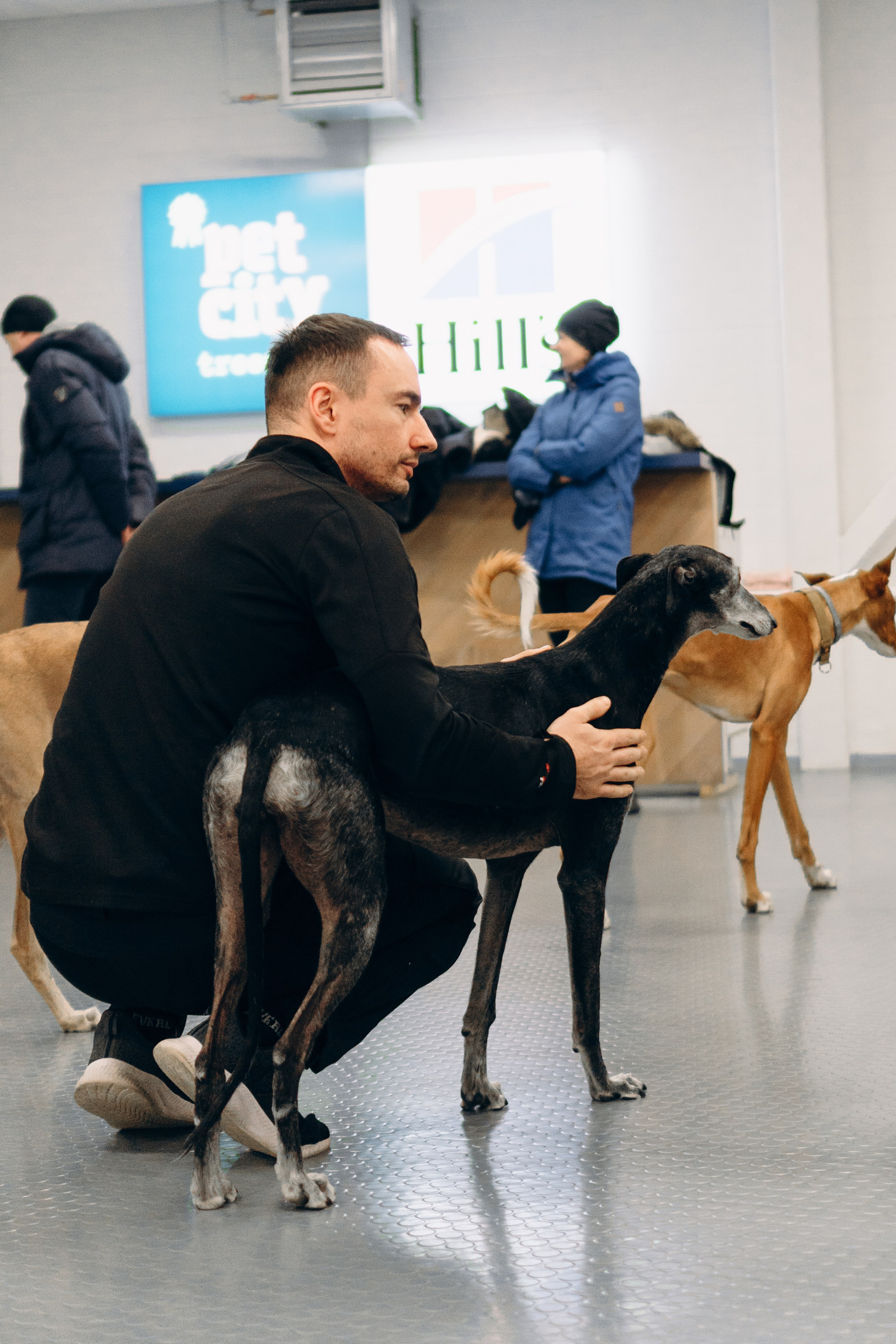 GalgoTreff / PetCity Rannamõisa, 13 apr. 2025. Kat Laisaar — Pet photographer in Tallinn