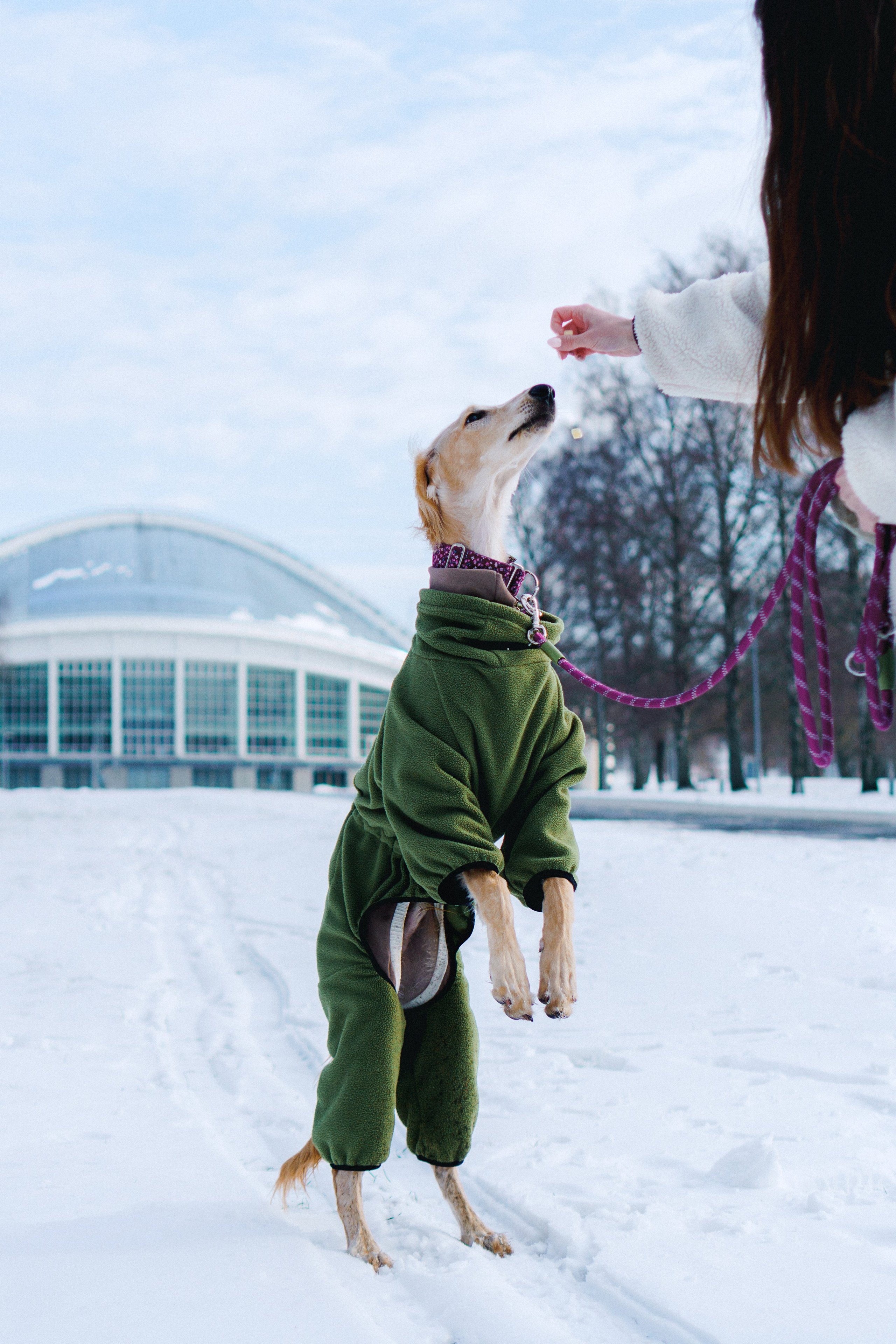 Nicole & Sky. Kat Laisaar — Pet photographer in Tallinn