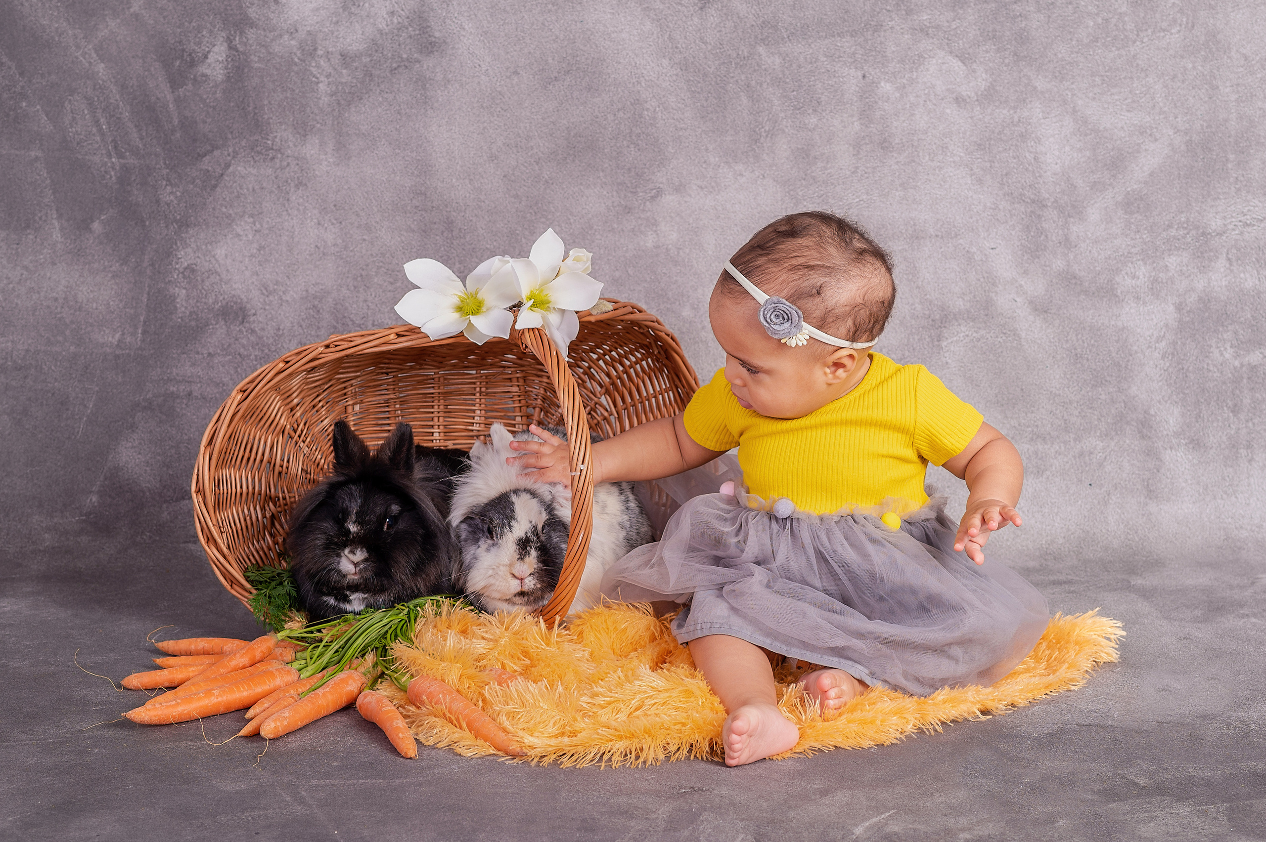 Newbornfotograf Neu-Ulm, Babyfotograf Neu-Ulm, Familienfotograf Neu-Ul. Newbornfotograf Kinderfotograf Ulm Familienfotograf Anastasia Neu-Ulm