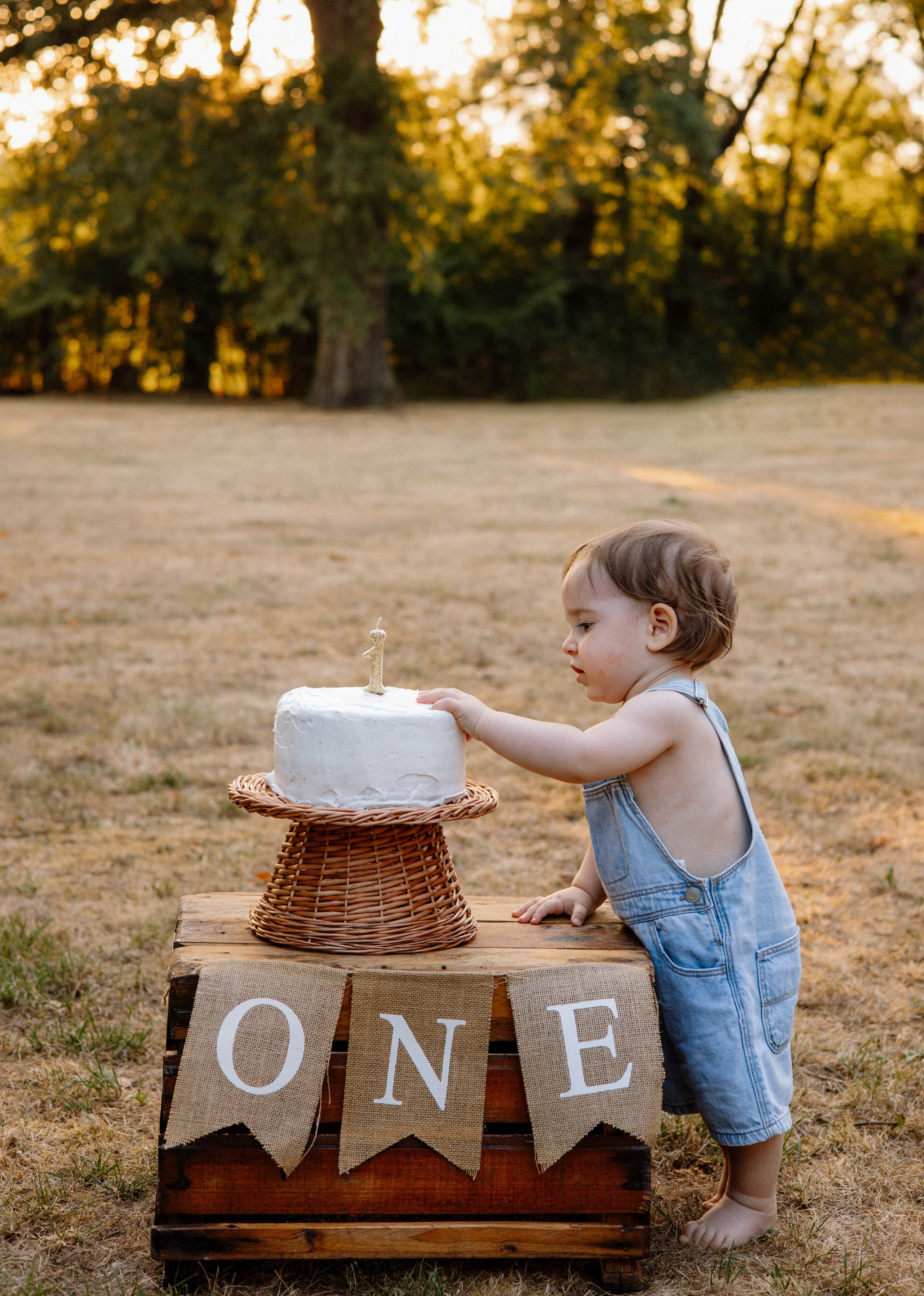 Smash Cake Photography. Family and Wedding Photographer
