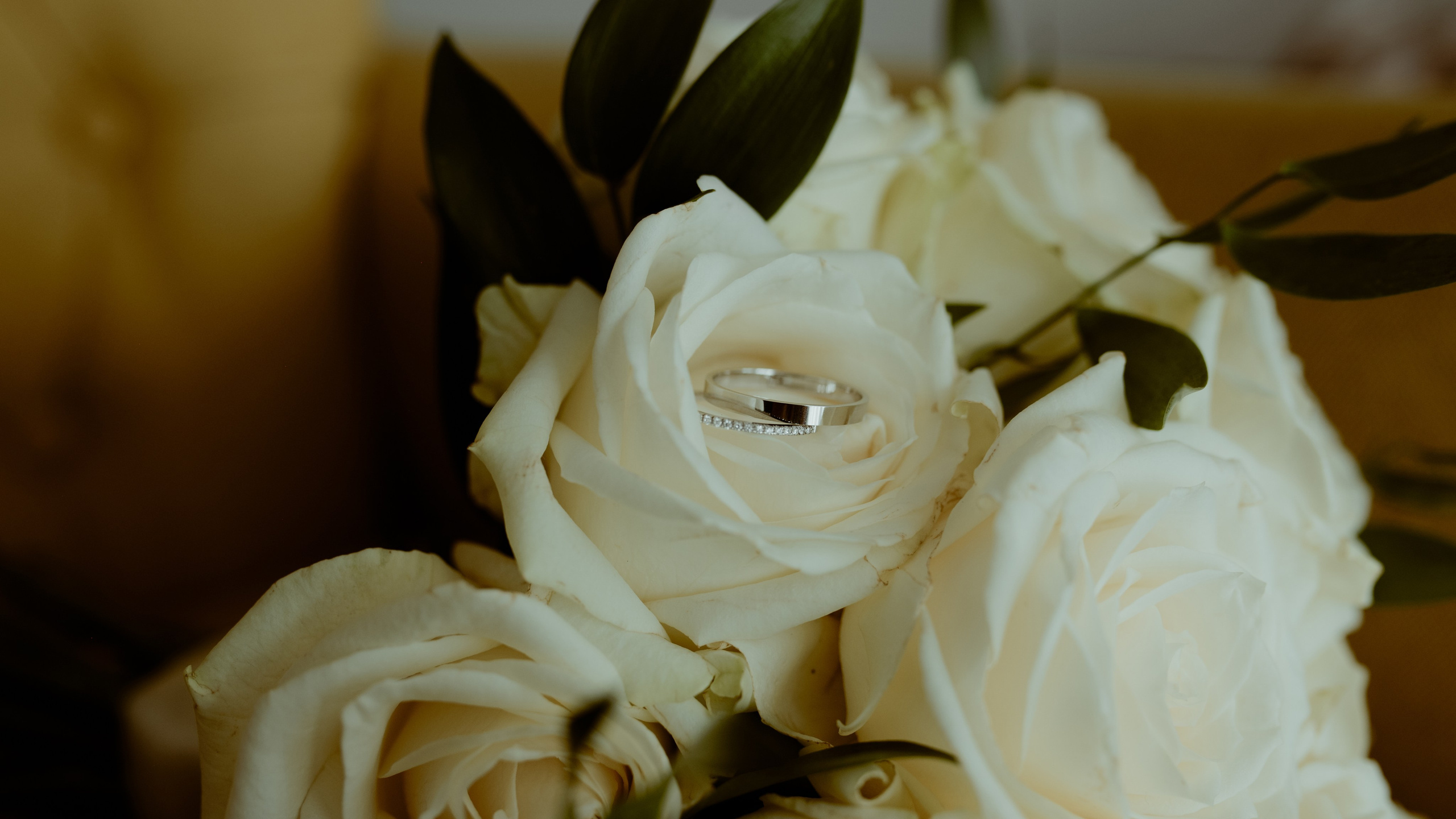 Venčanja. Wedding & Family photographer Jelena Anđelić