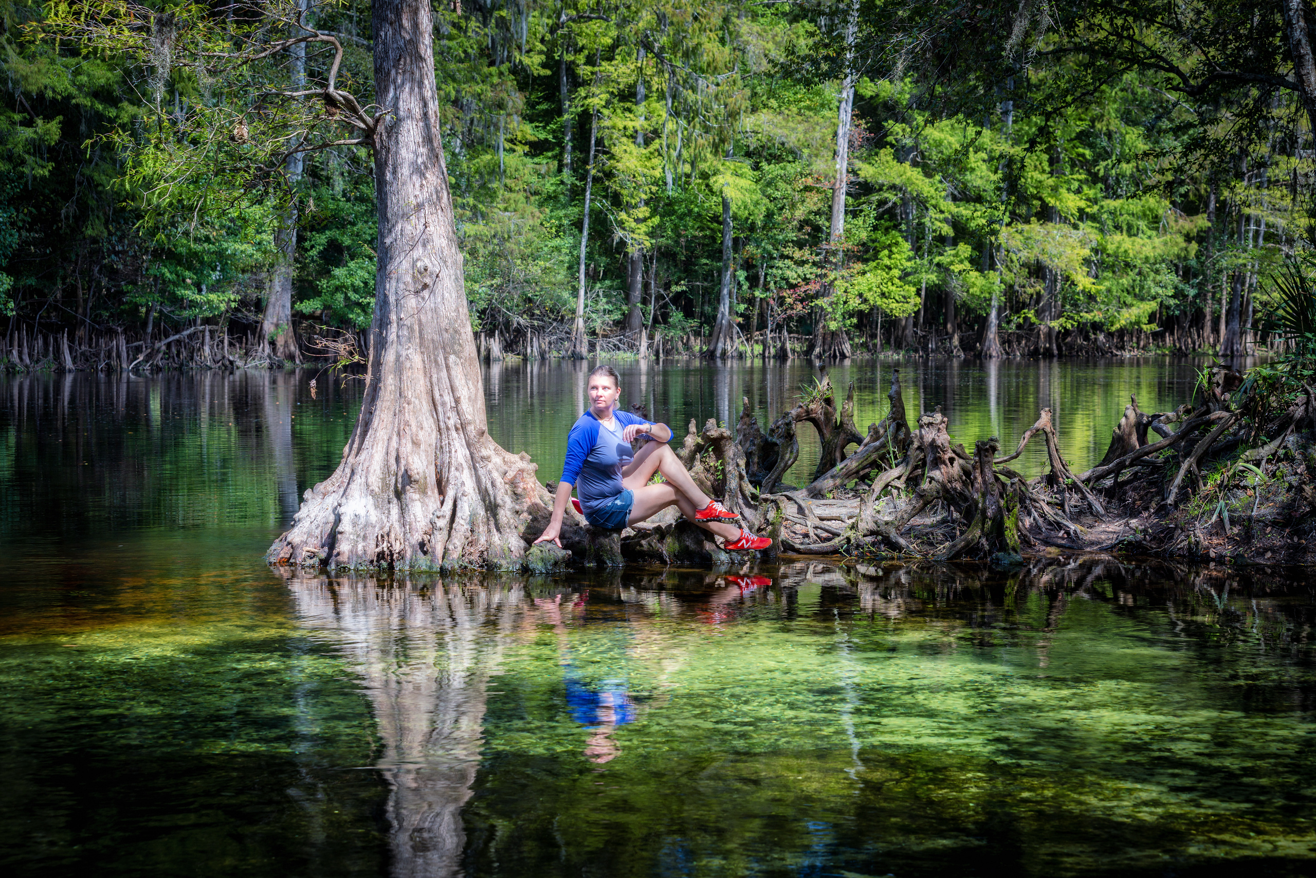 North Florida Cypress Swamps. Alex Mironyuk Photography
