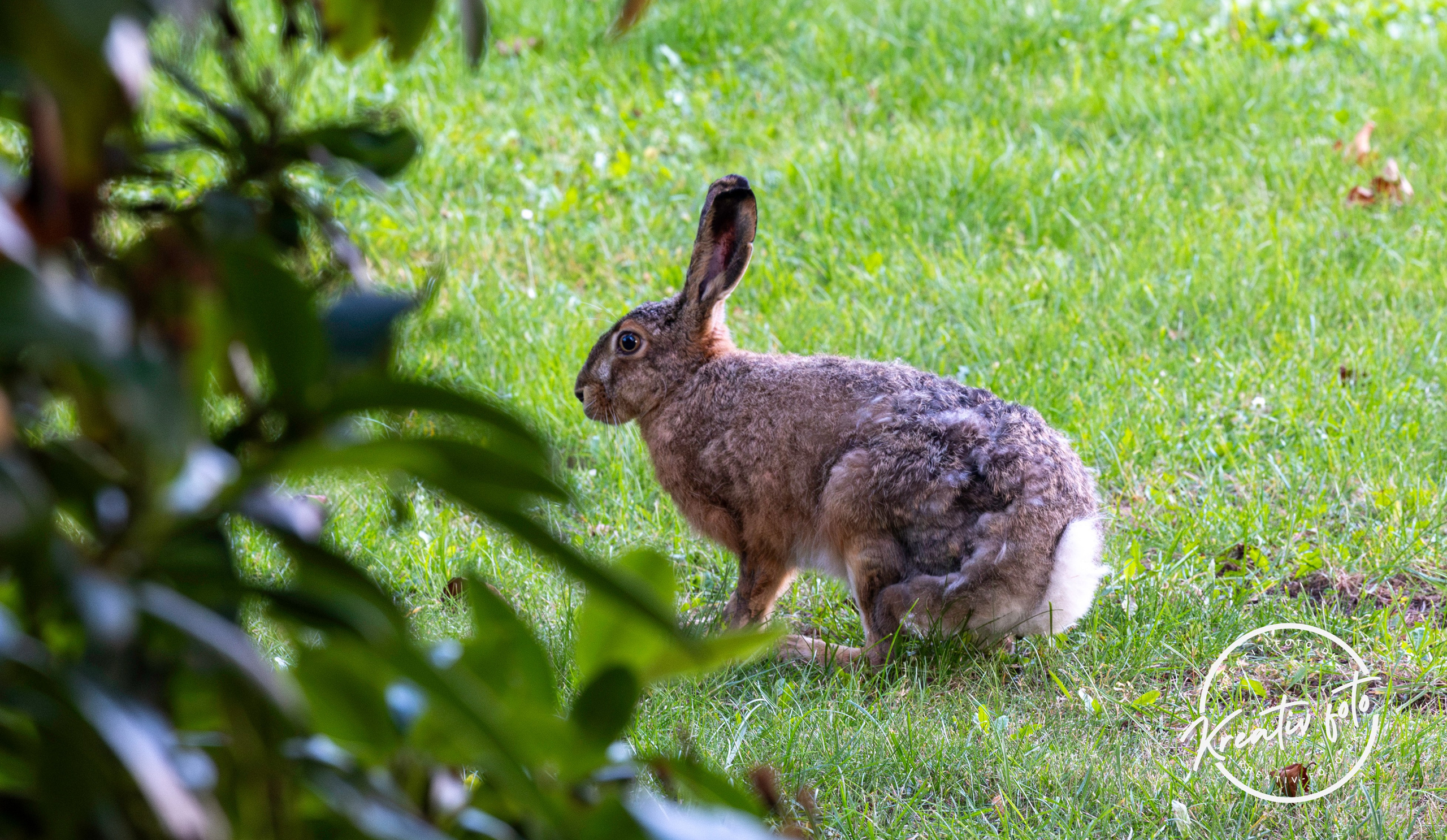 Efterår. Fotograf Aarhus | Portrætfoto Århus | Flotte billeder