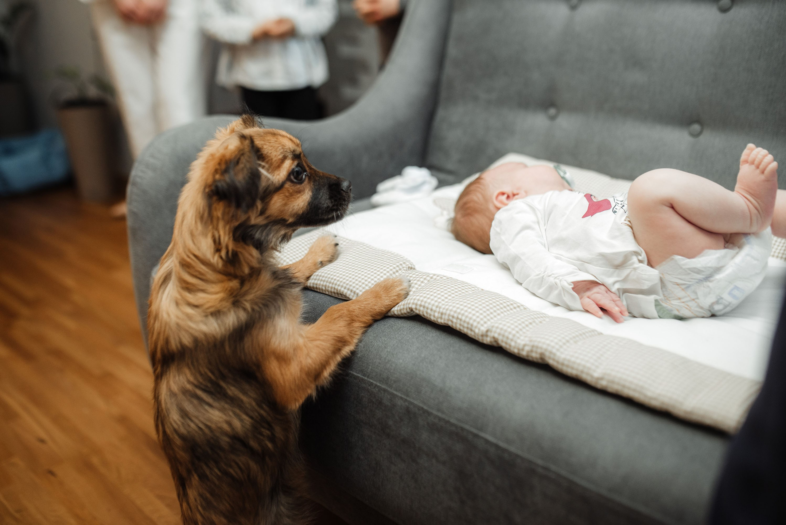 Фотосесія хрещення. Злата. Весільний та портретний фотограф Кизим Арсен
