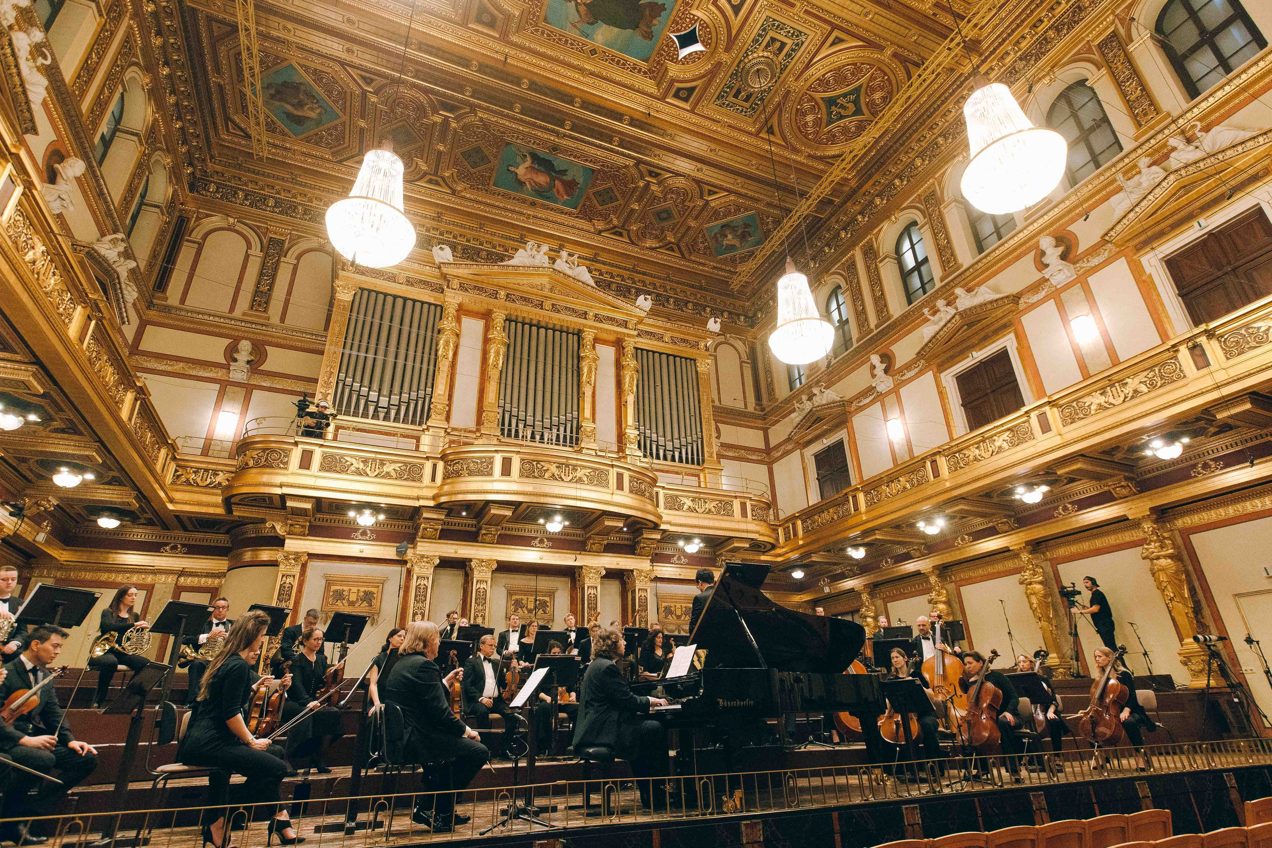 MUSIKVEREIN (VIENNA). Wedding&Event photographer Ismail Rzayev in Baku