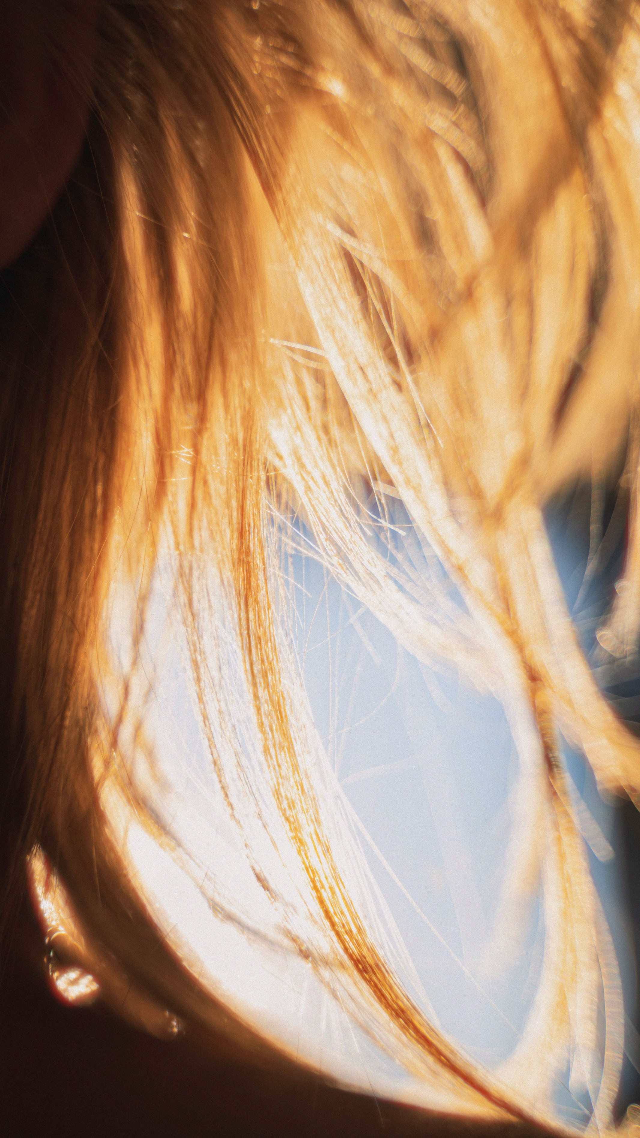 Sunset. Žukov Studio