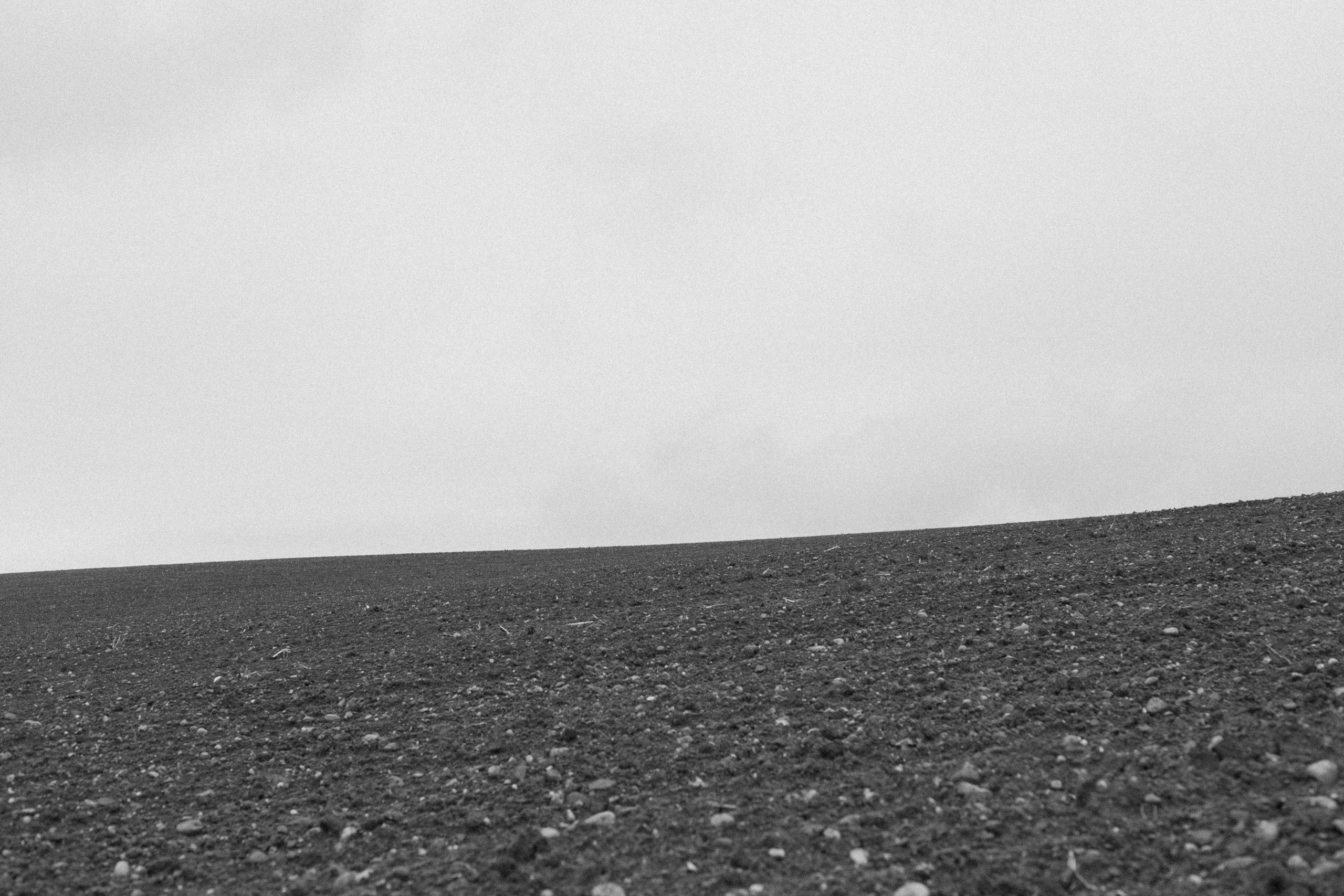 Catch. Family photographer in Geneva Switzerland Anastasiia Francuzova. Семей