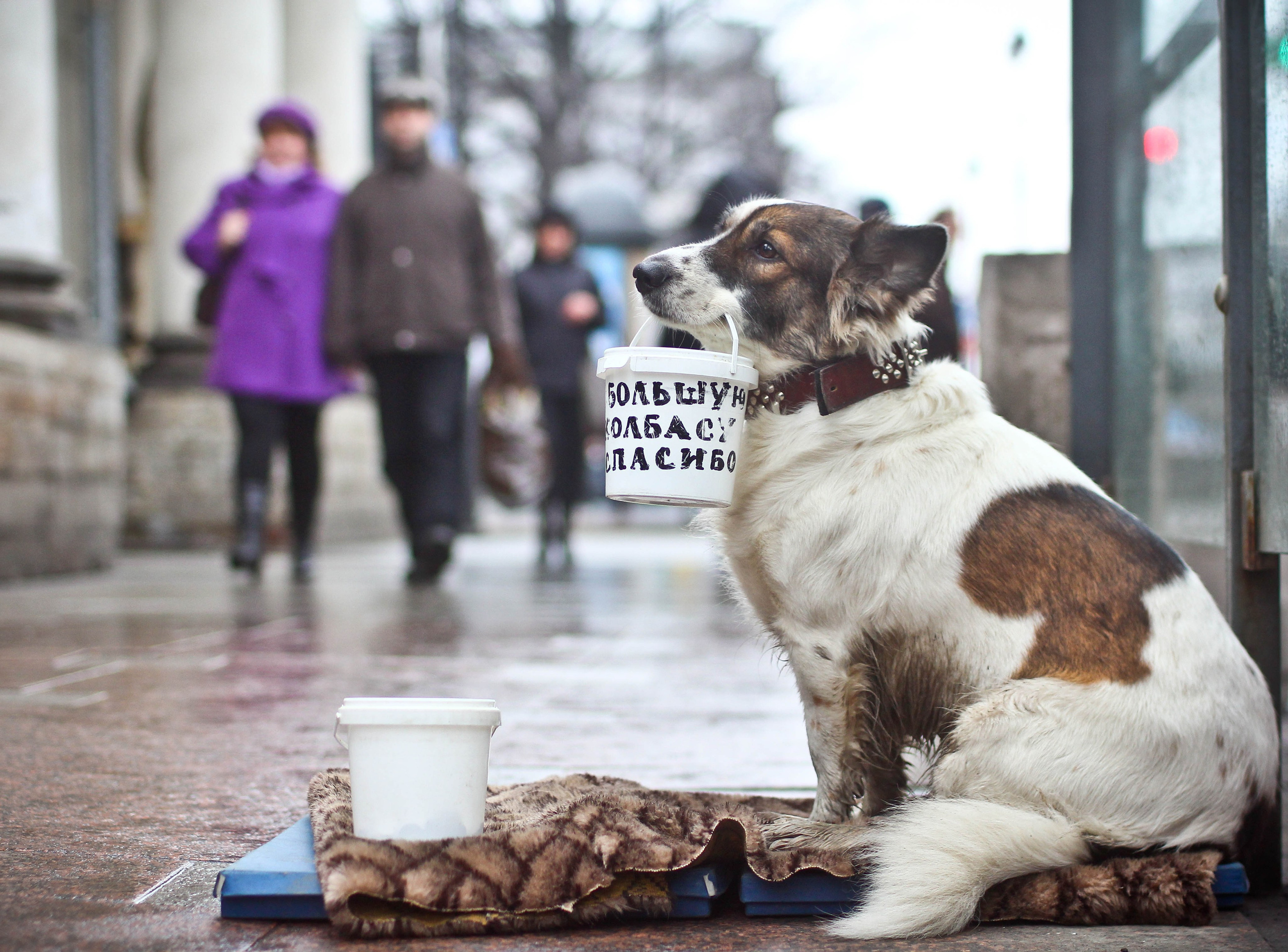 2012. Стрит-фотография, полная абсурда, идиотизма и красоты