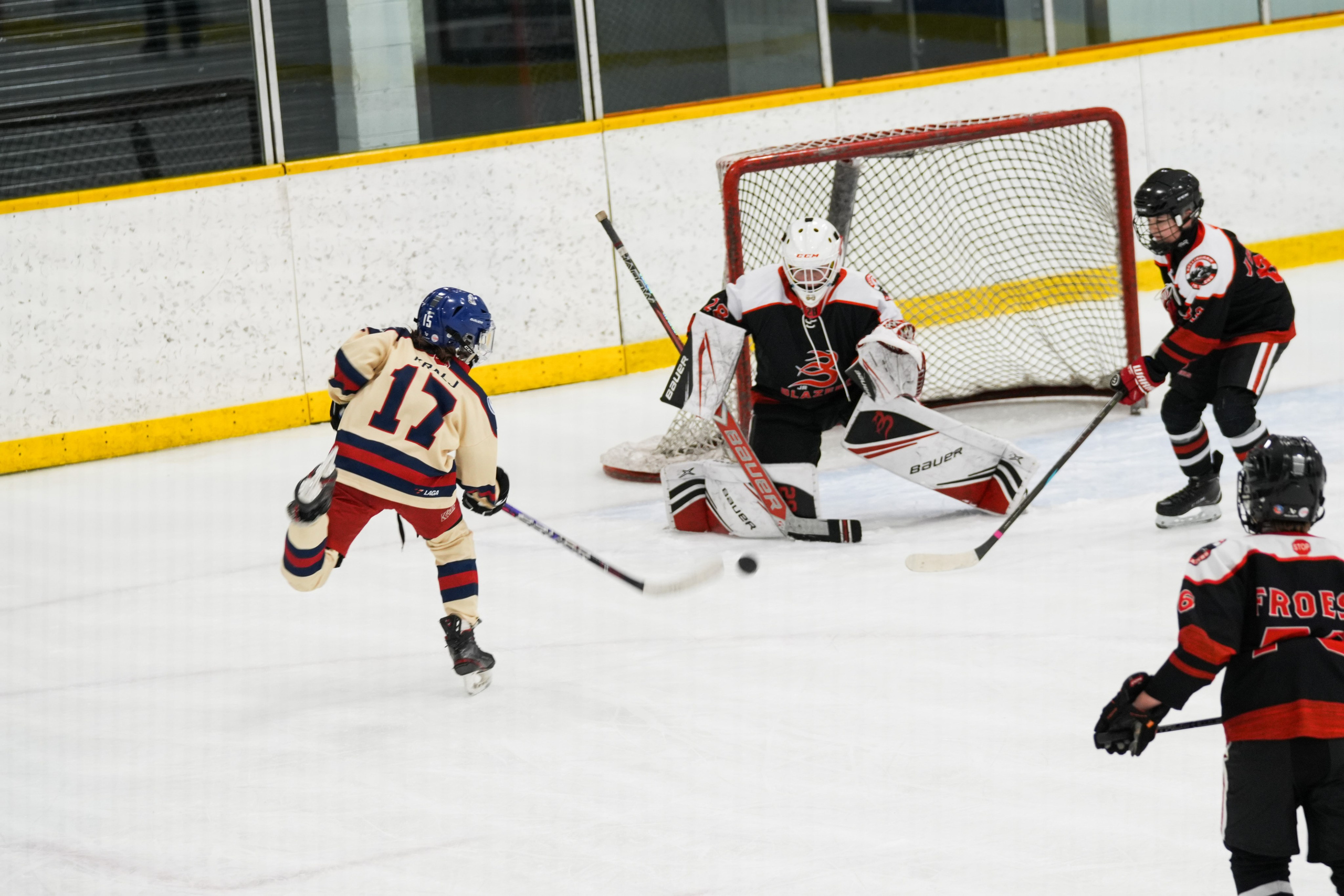 Shuttergry Photography