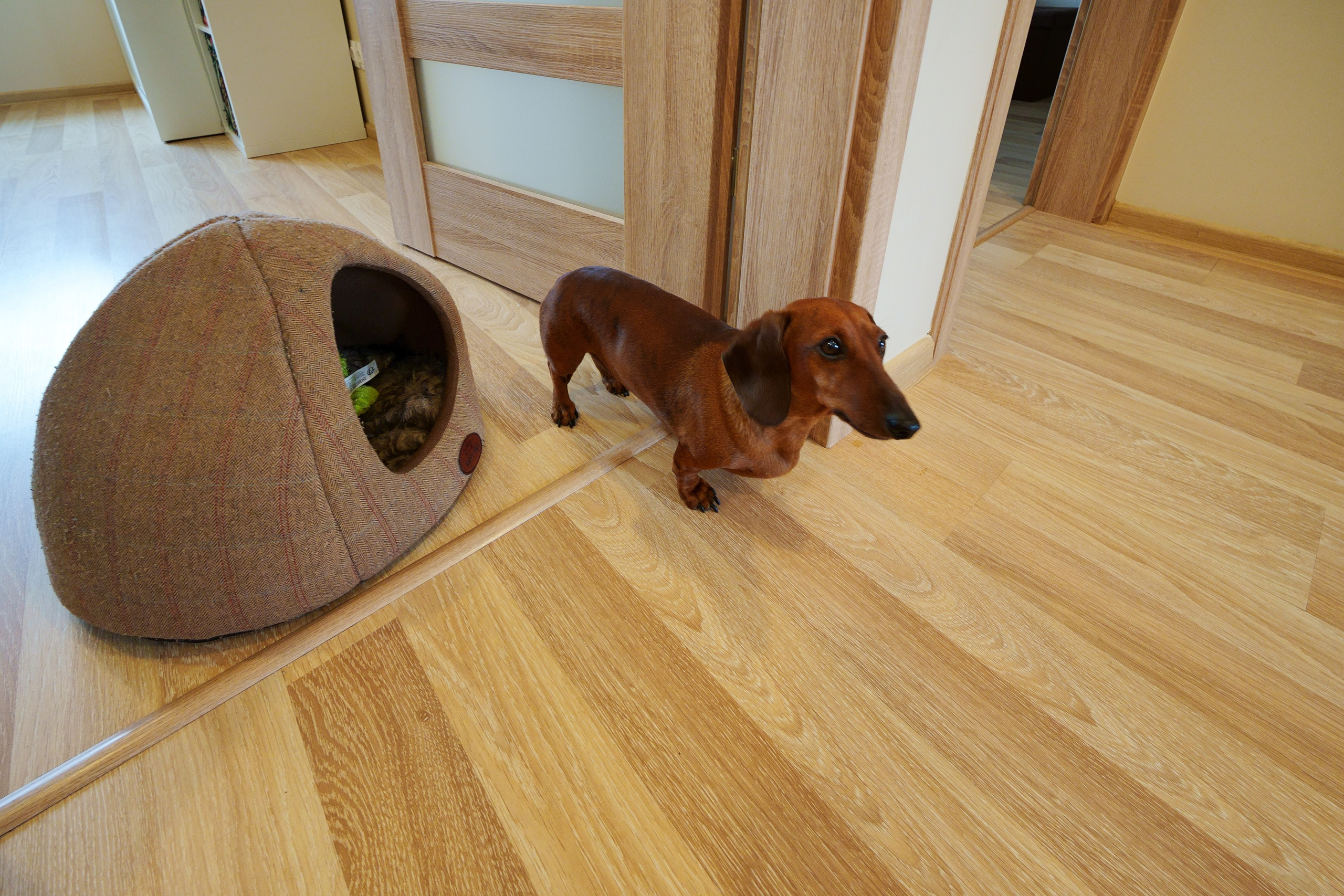 Tarandė. Elina Sapiega fotografė Vilniuje