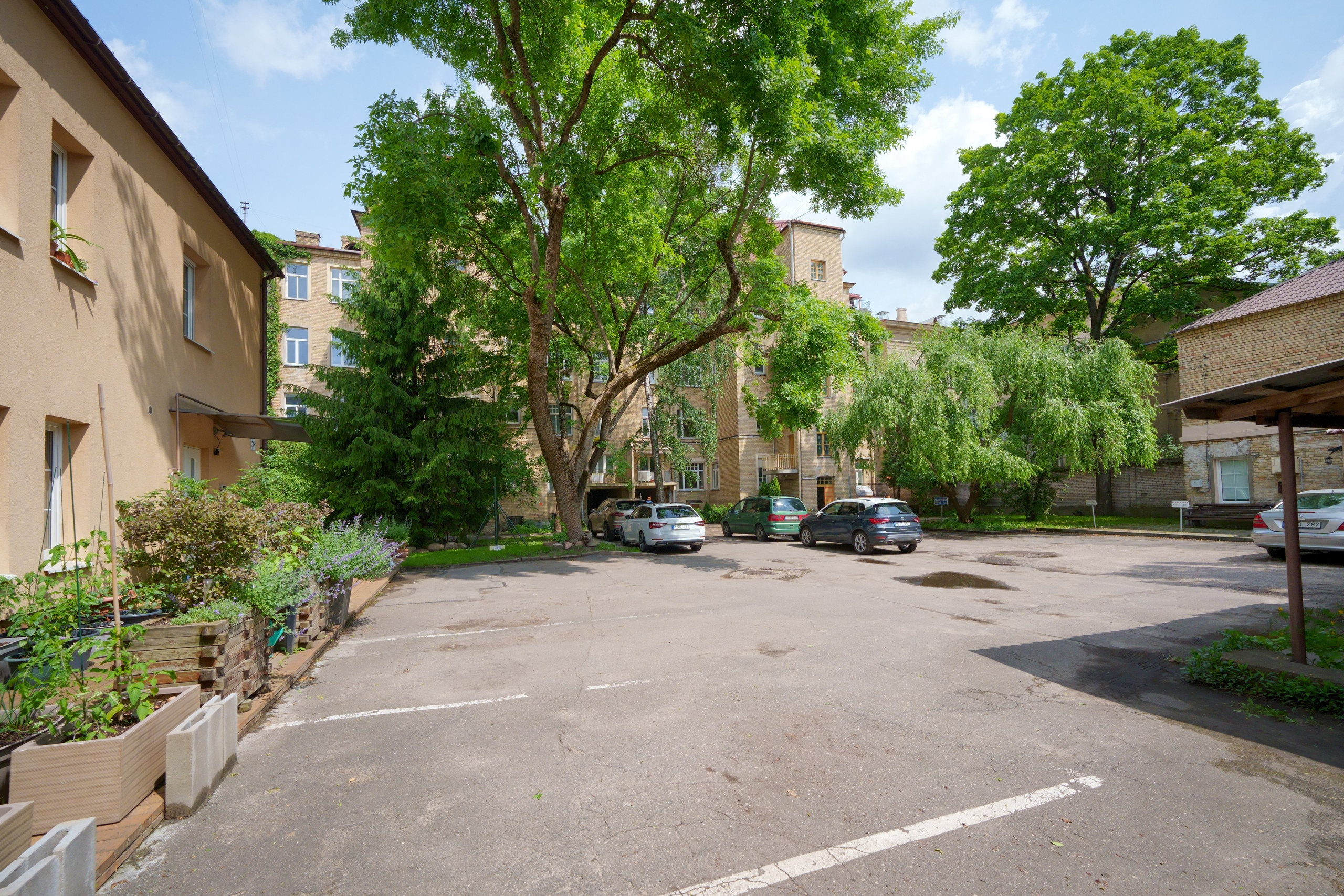 Kaštonų g. 3. Elina Sapiega fotografė Vilniuje