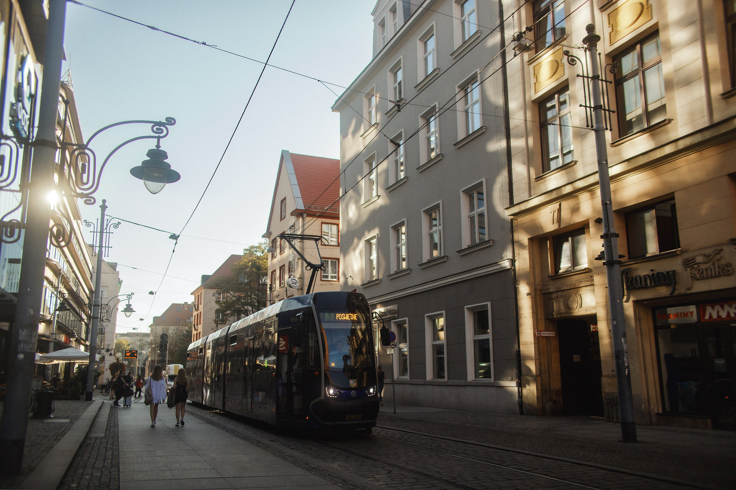 Nastya. Kaja | fotograf psów we Wrocławiu