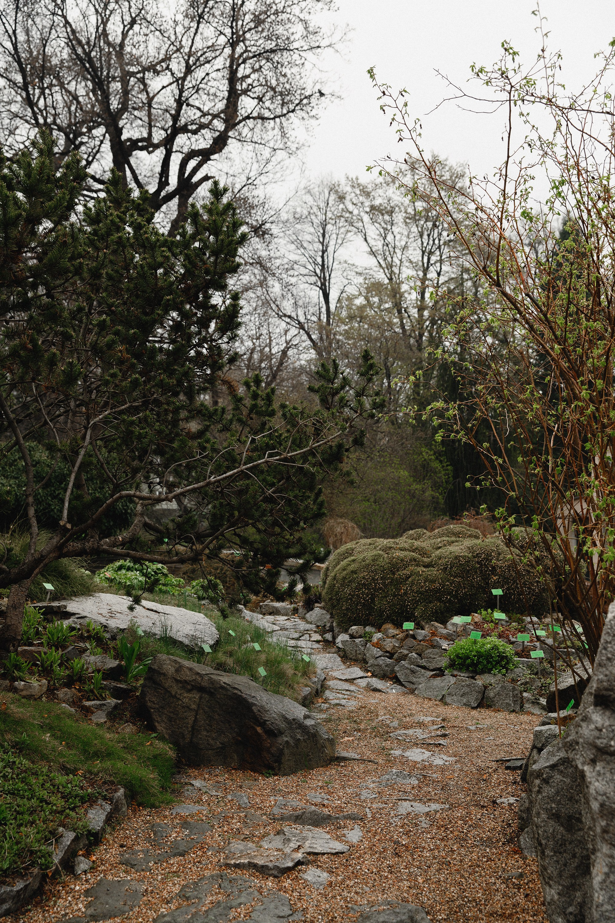 Botanical garden in Wroclaw. Kaja | fotograf we Wrocławiu | ludzie i psy
