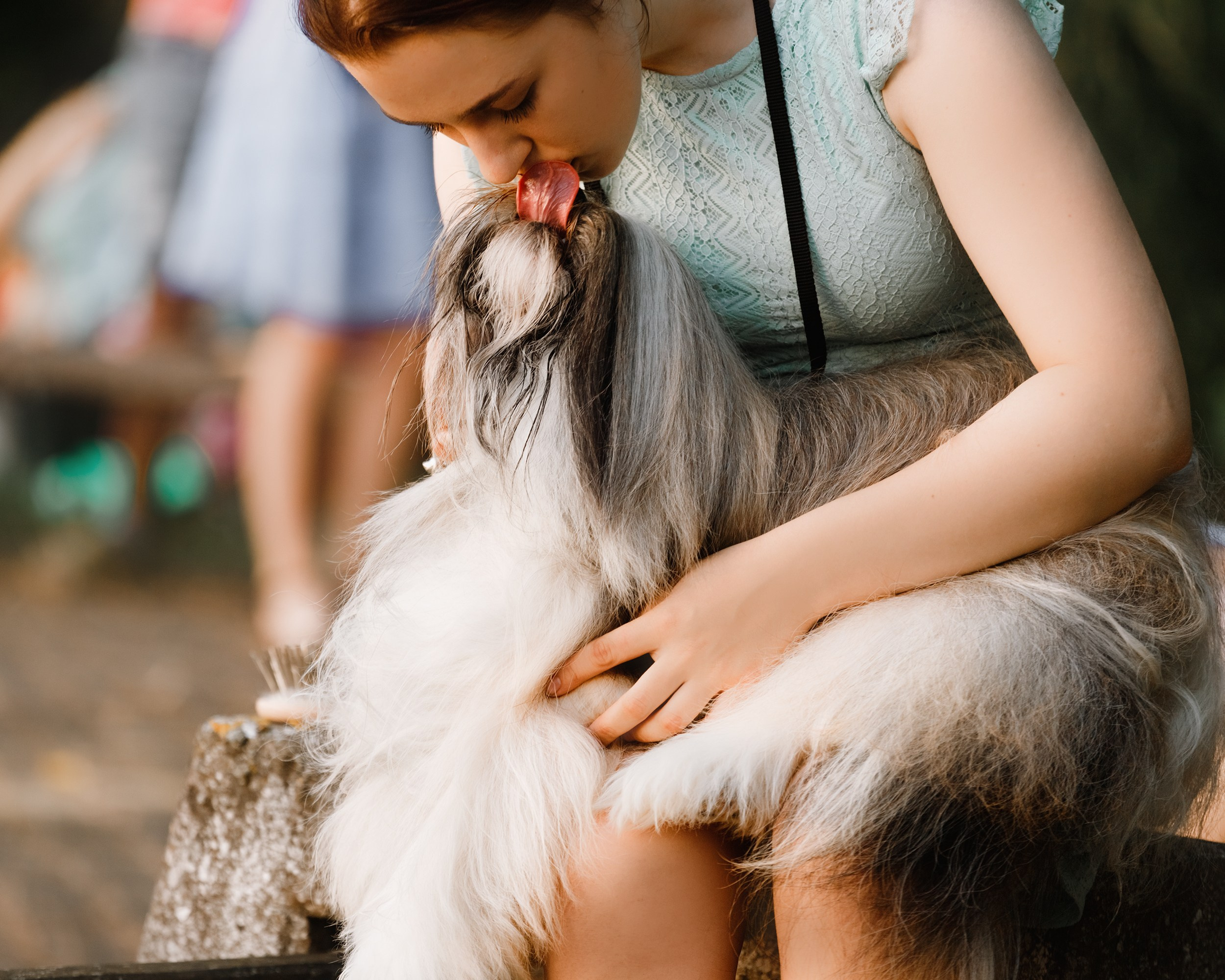 «Argus» dog show in Brest. Kaja | fotograf we Wrocławiu | ludzie i psy