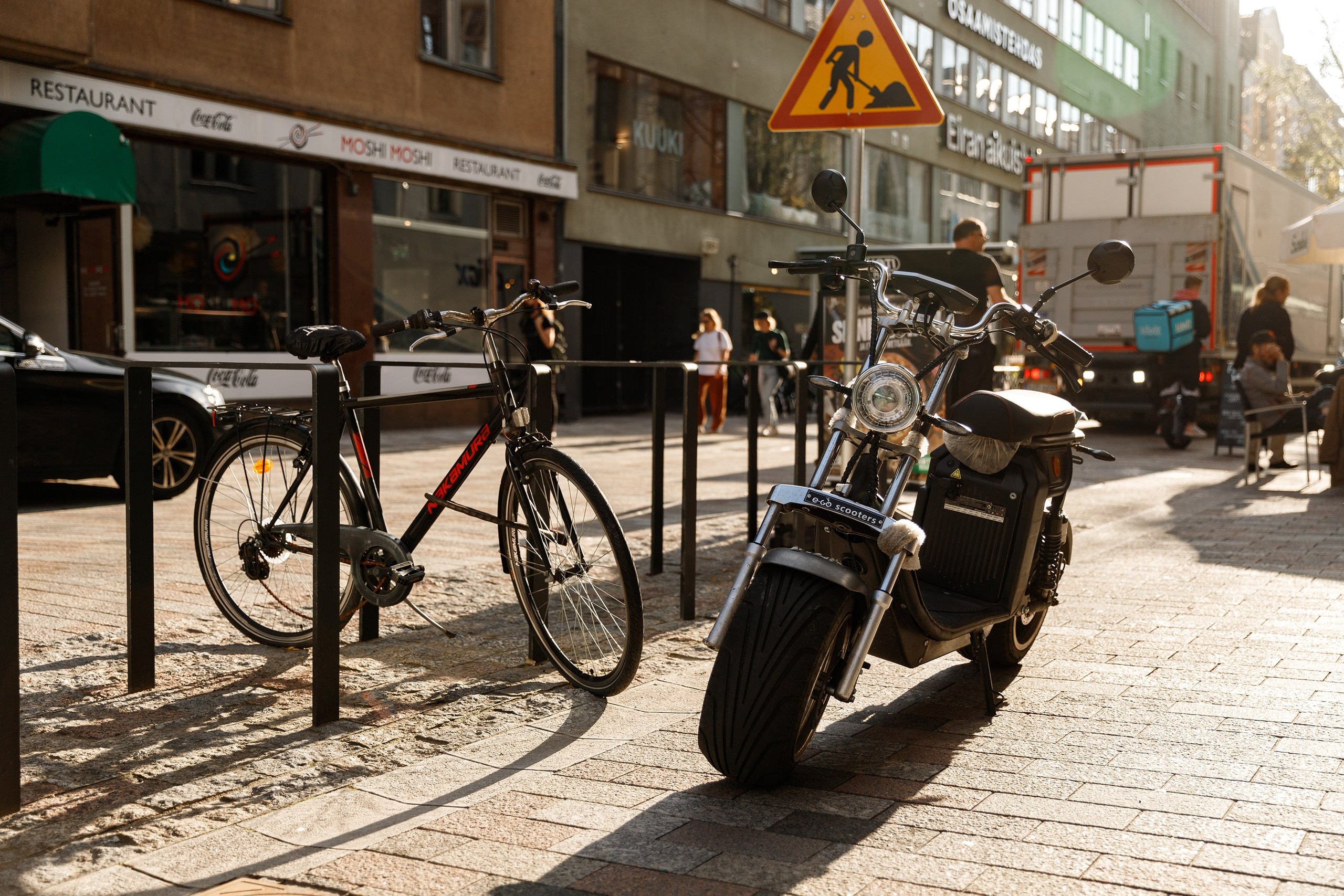 Helsinki. Kaja | fotograf psów we Wrocławiu