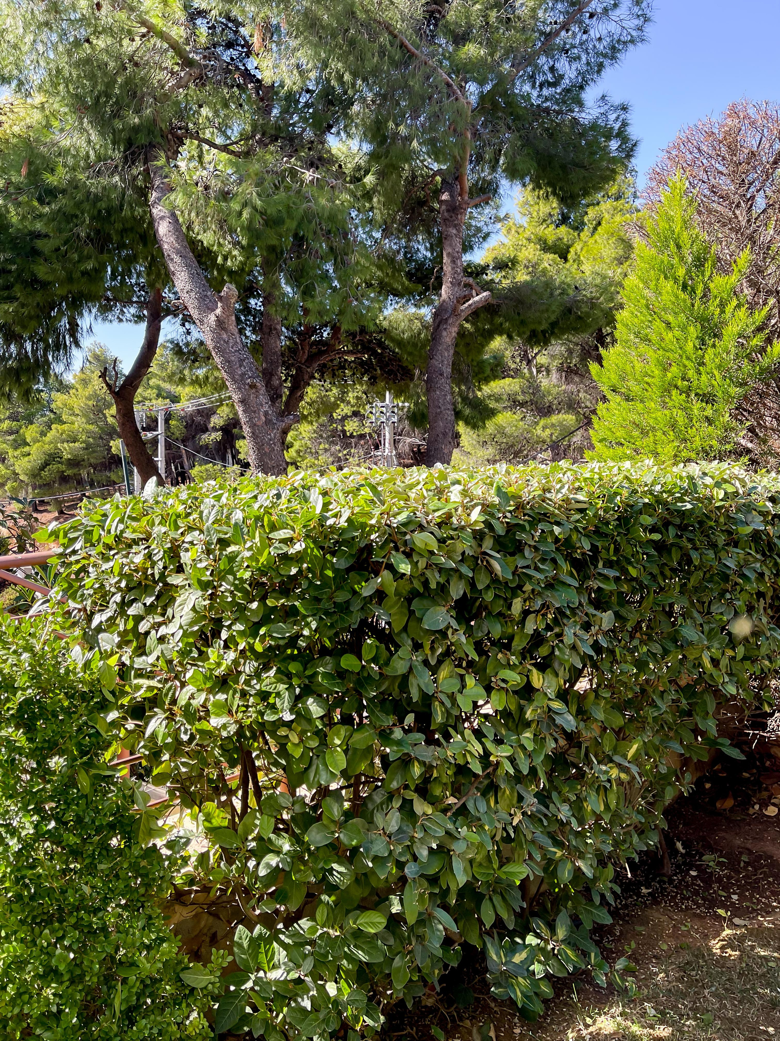 Κήπος Θρακομακεδόνες. Geoponitikon-Όταν η Επιστήμη συναντά την Τέχνη στο Φυσικό Τοπίο!