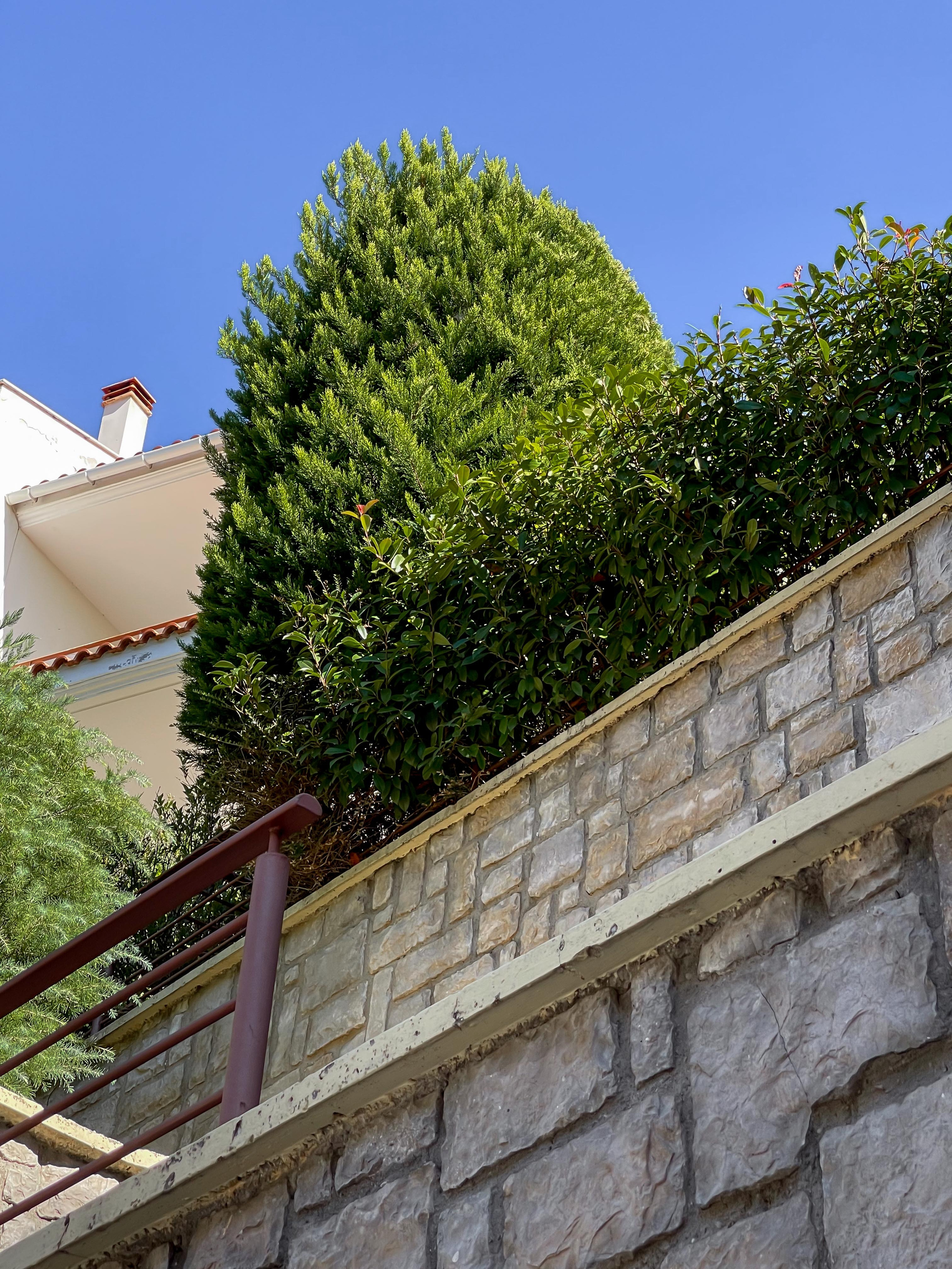 Κήπος Θρακομακεδόνες. Geoponitikon-Όταν η Επιστήμη συναντά την Τέχνη στο Φυσικό Τοπίο!