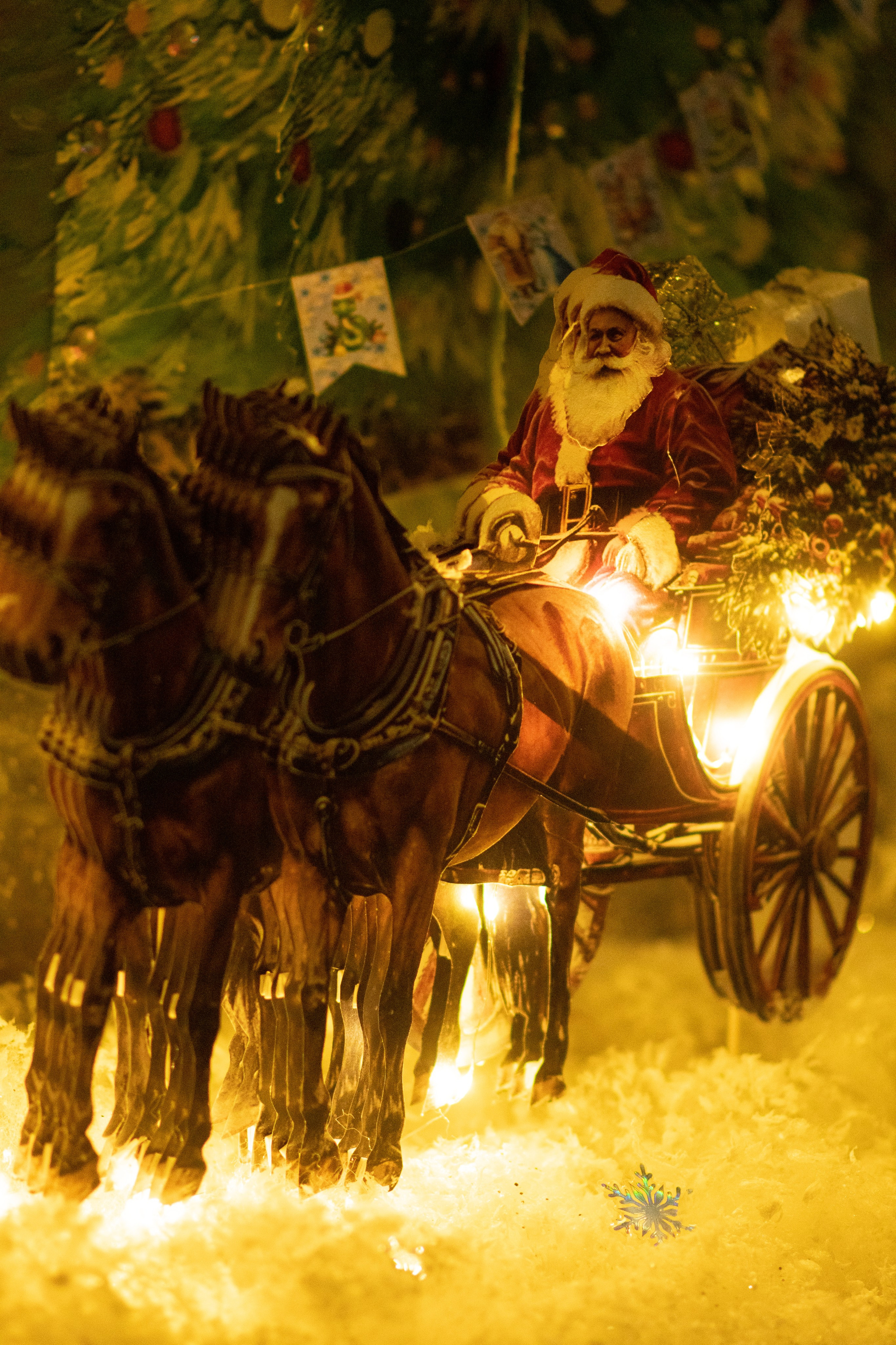 Проект. Семейный и детский фотограф