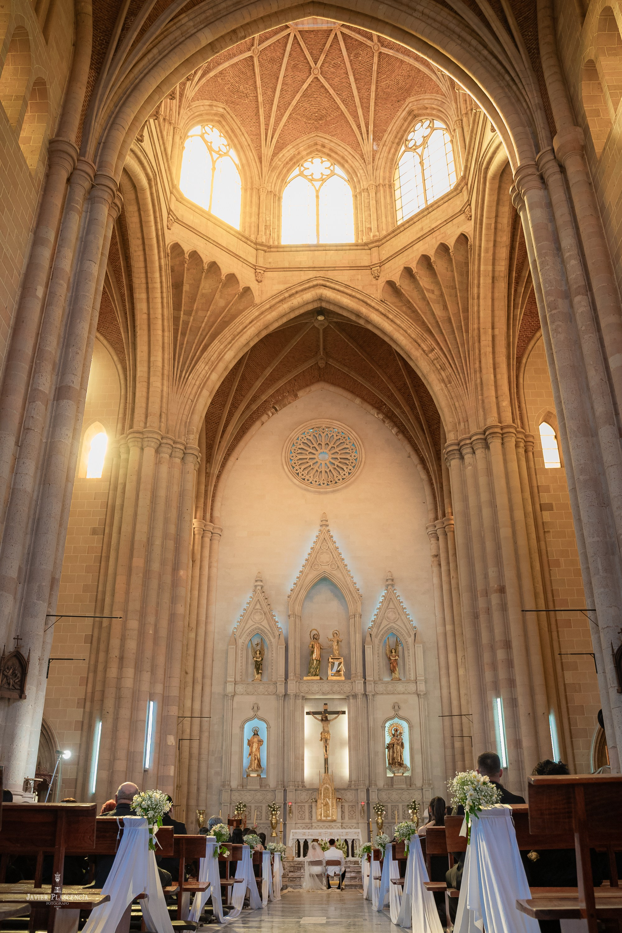 Angelica & Alejandro