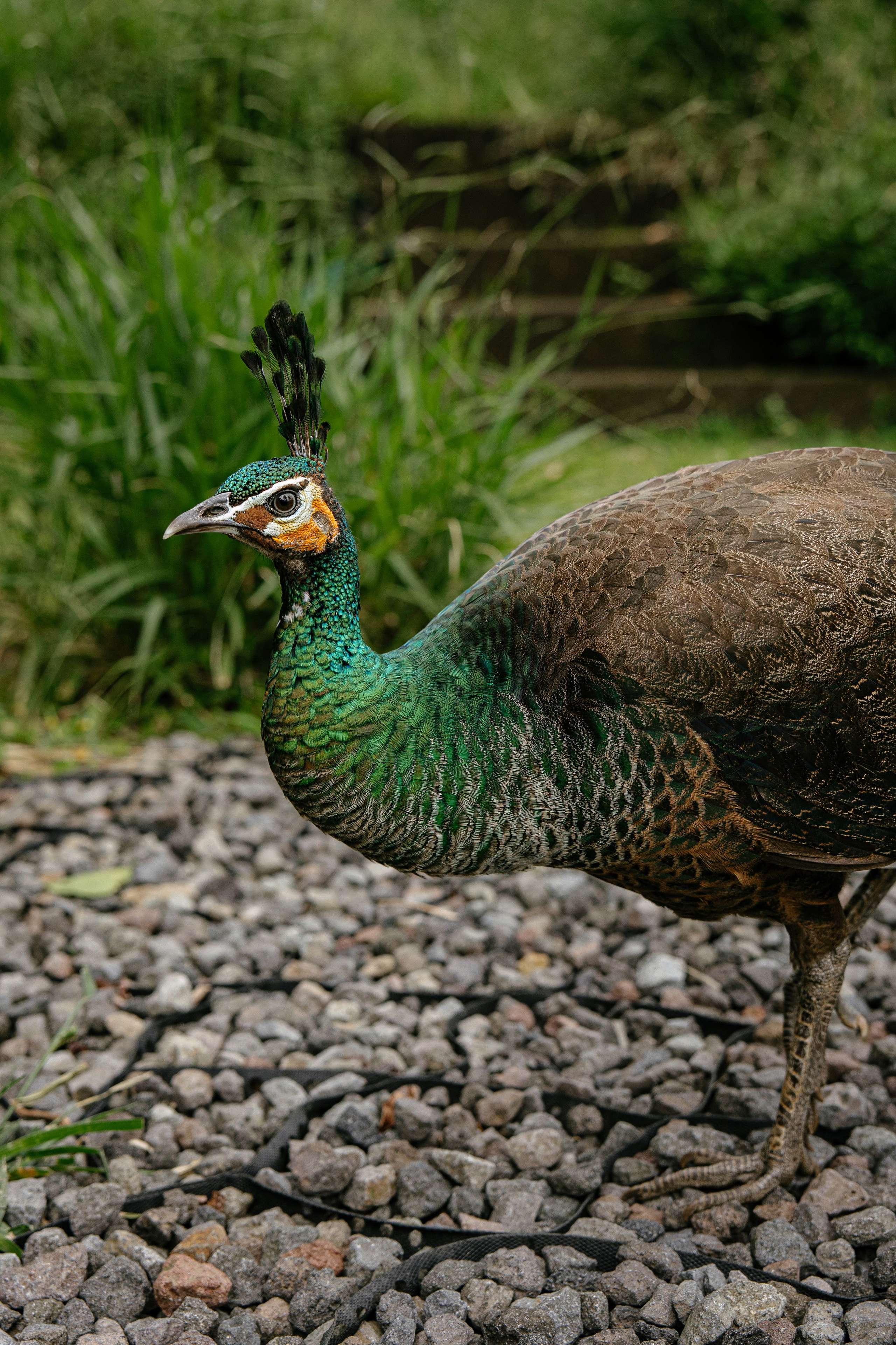 North trip. Профессиональный фотограф Нурмиева Вероника