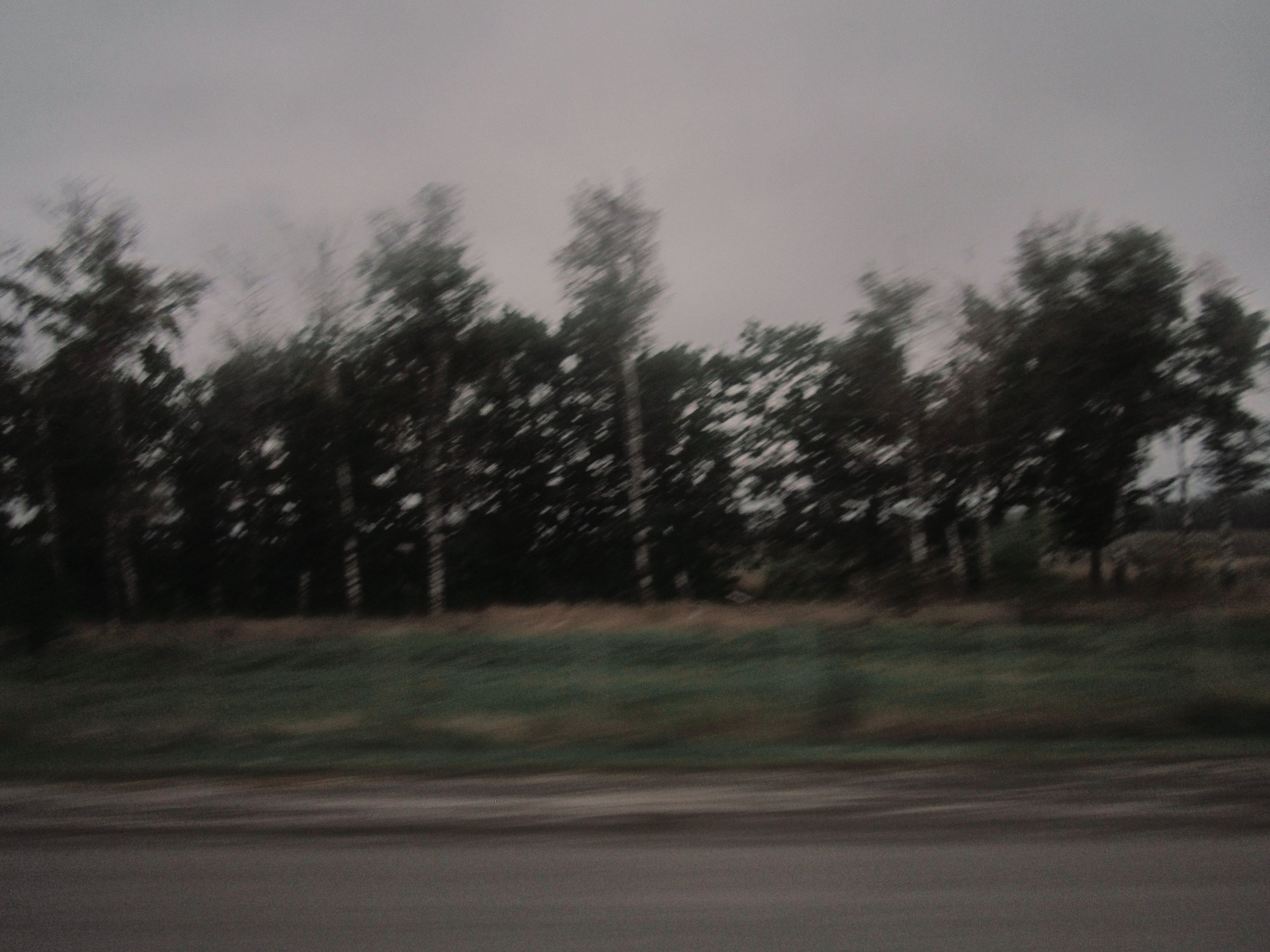 How we escaped. Egor Borie