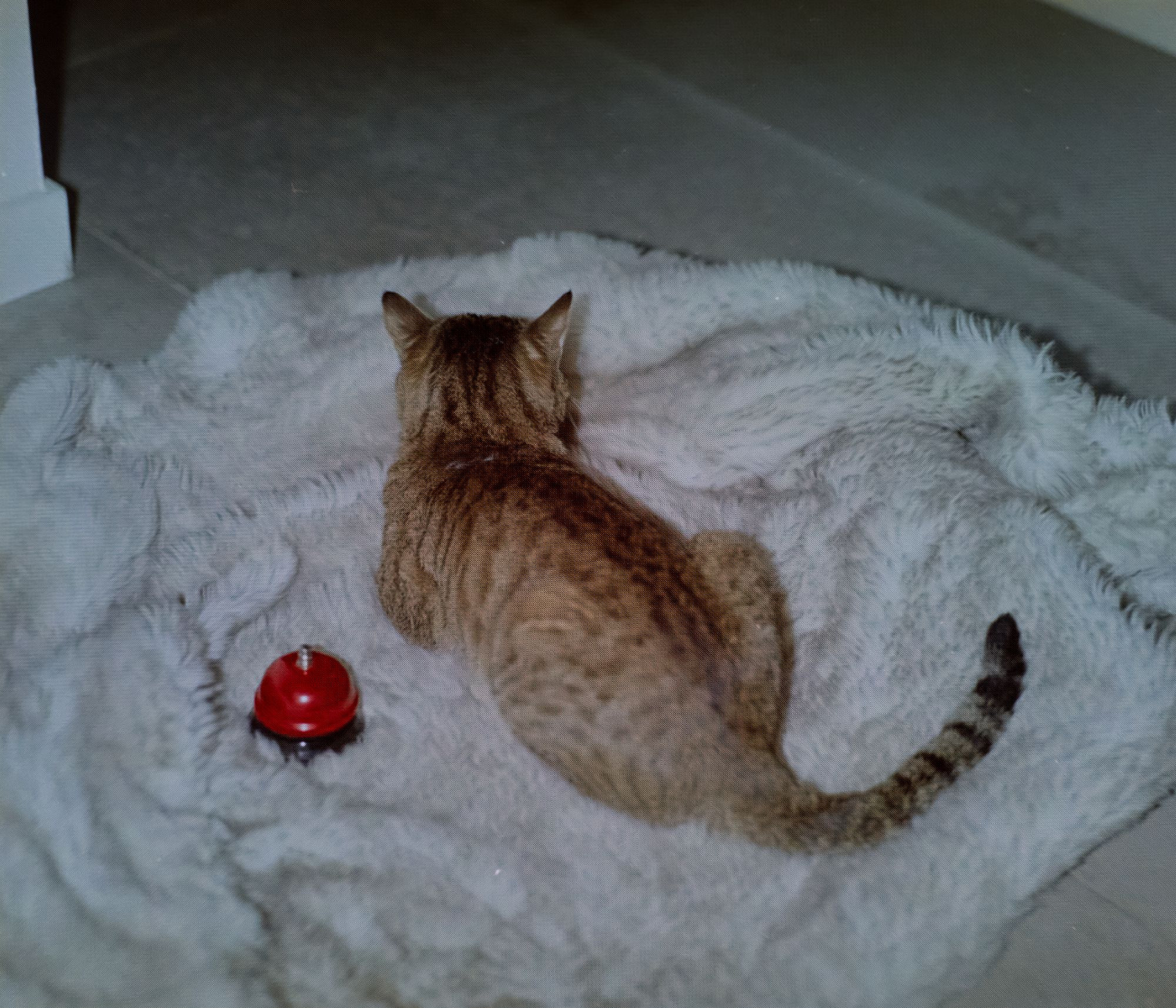 I want to cuddle tonight, and then we’ll see. Egor Borie