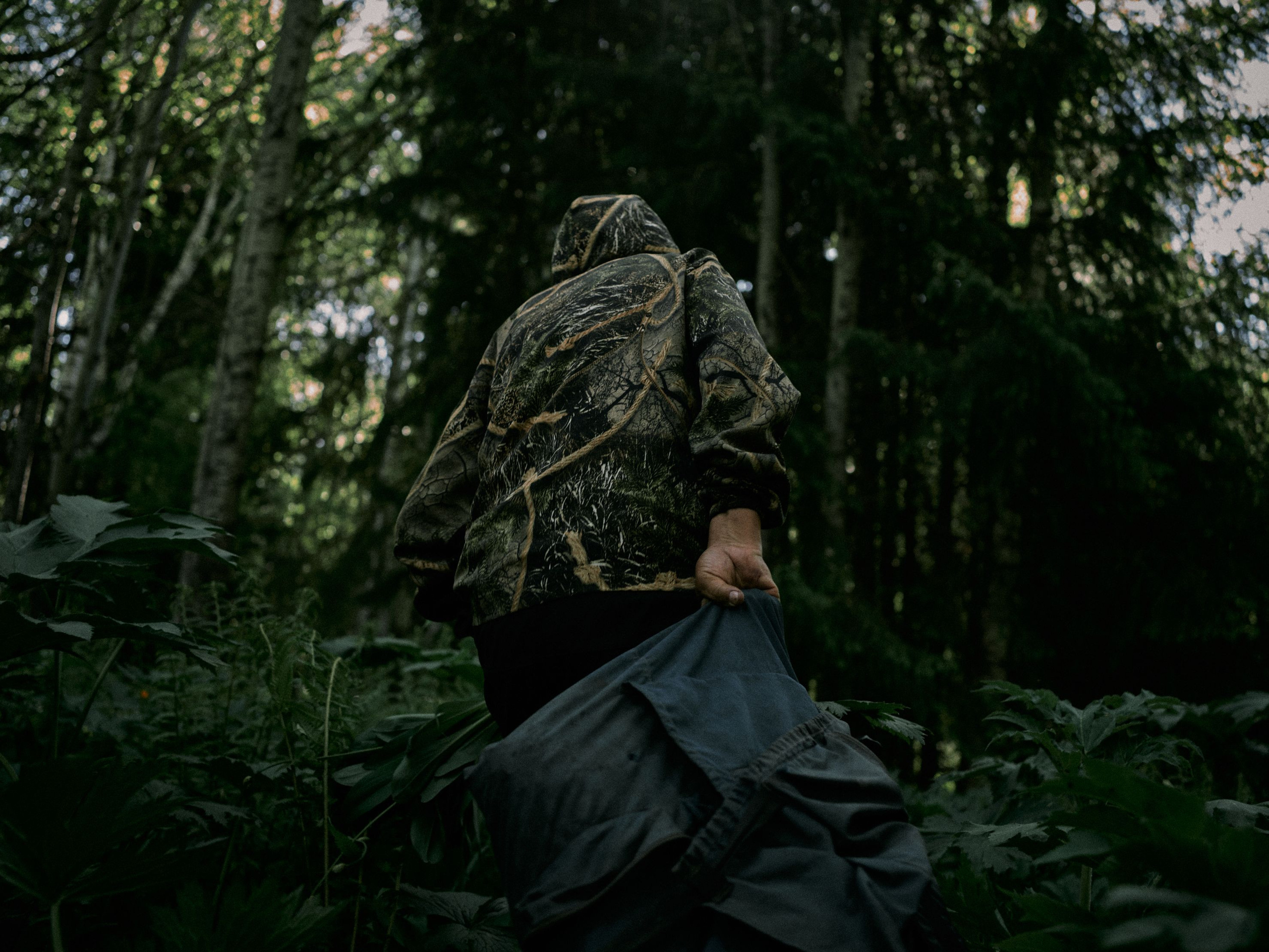 The ramson pickers in the Altai. Egor Borie