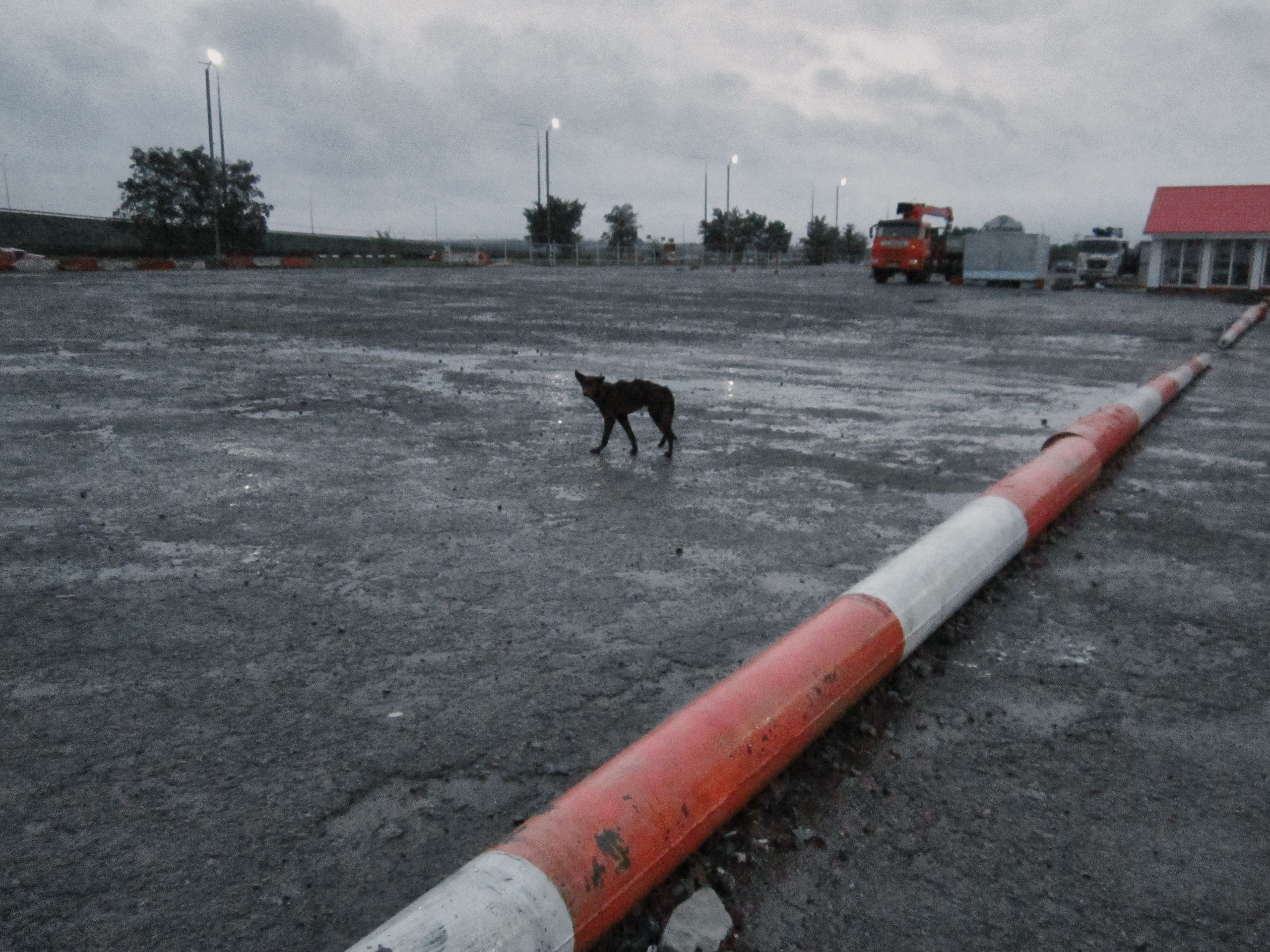 How we escaped. Egor Borie