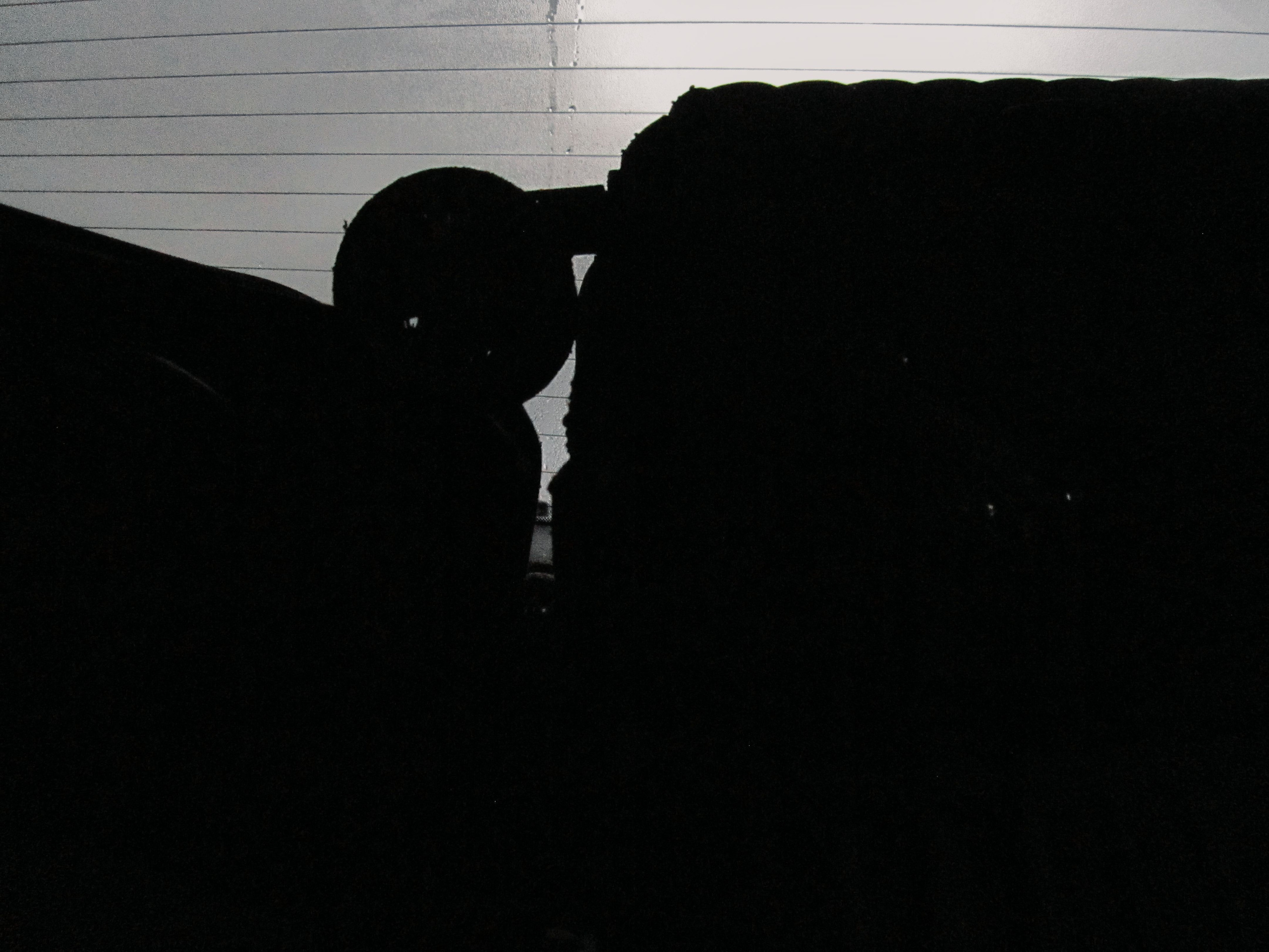 How we escaped. Egor Borie