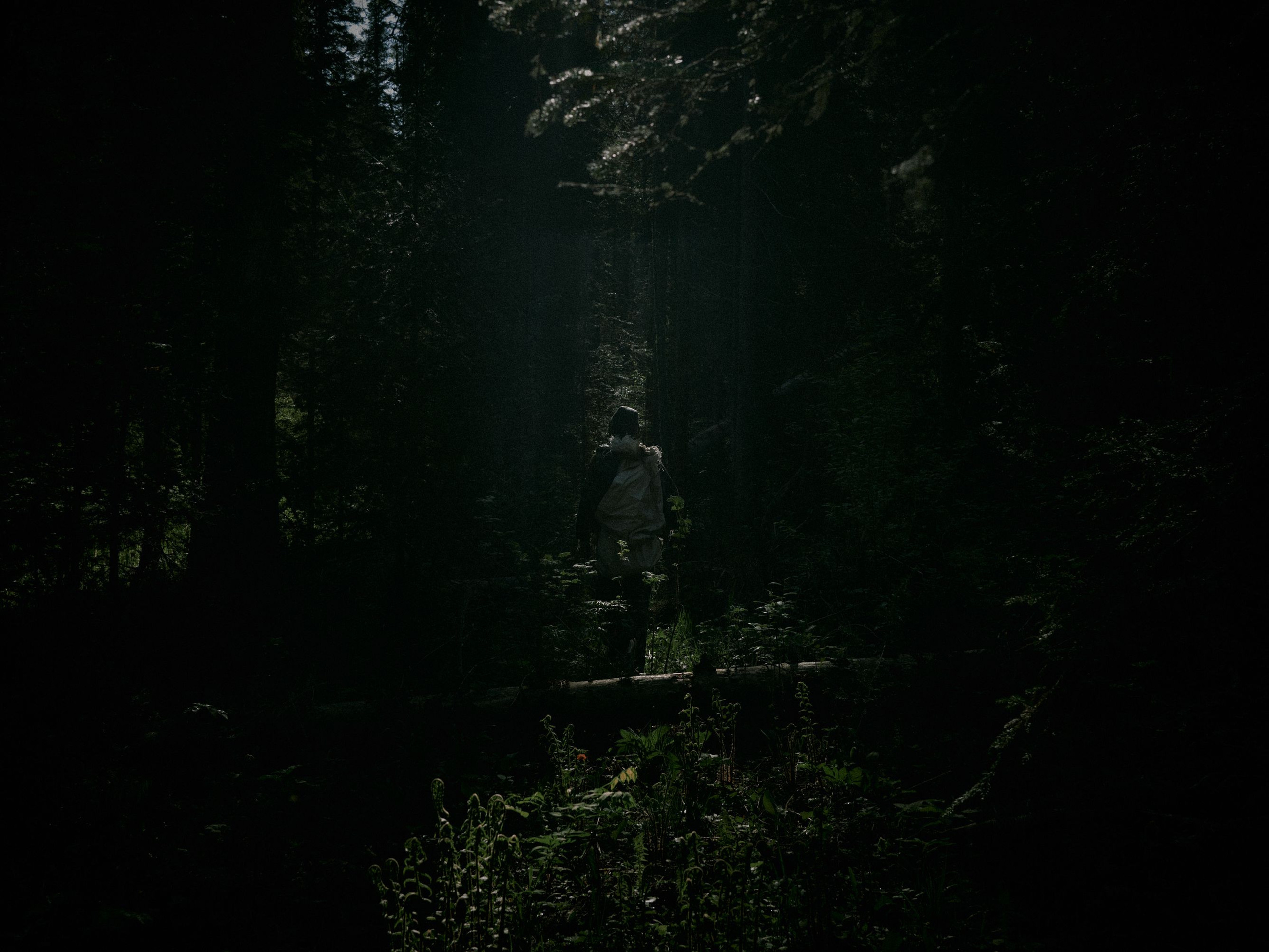 The ramson pickers in the Altai. Egor Borie
