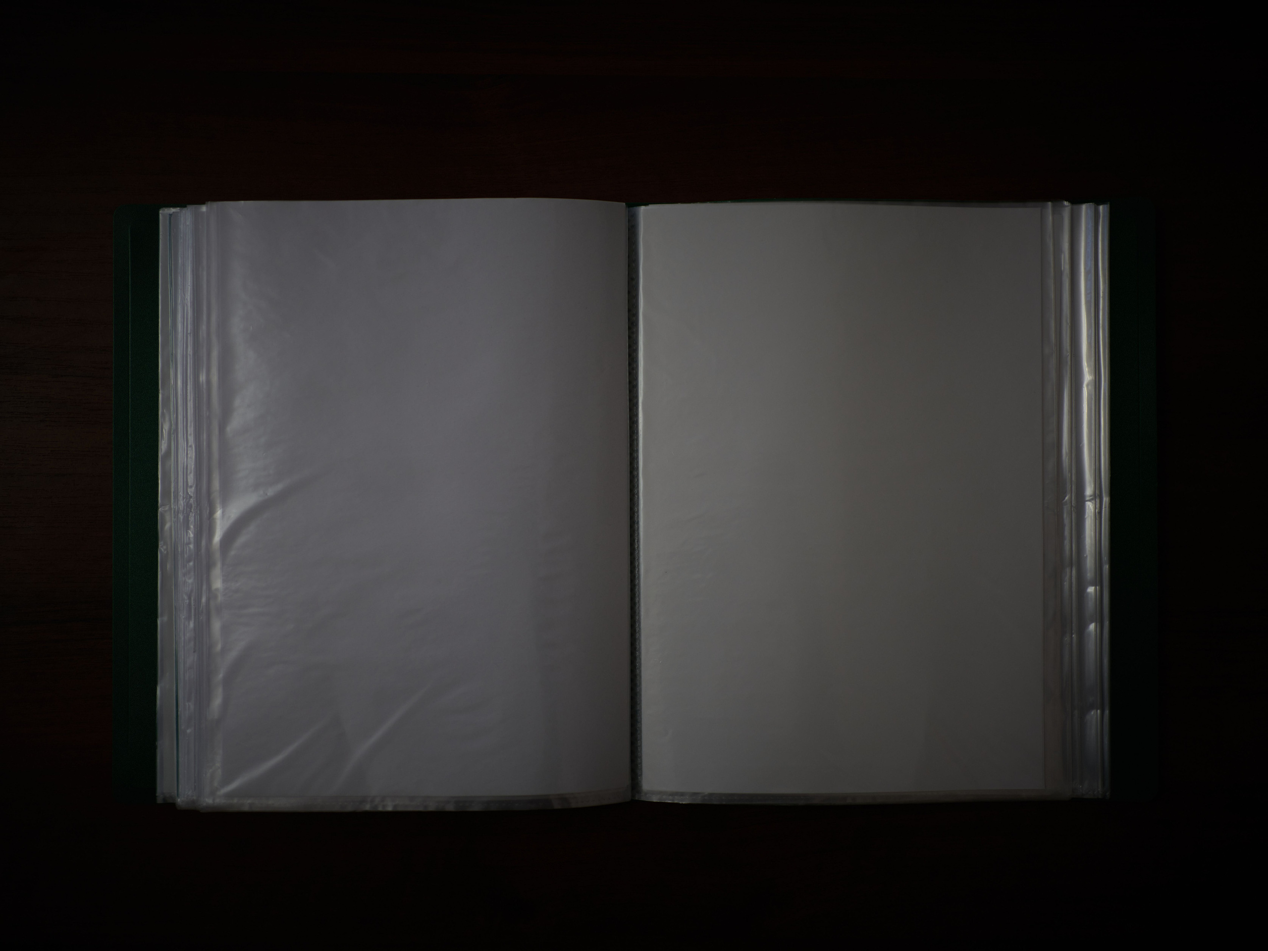 There are barely a couple of dozen photos in his photo album, and those were taken as an adult. Most of the pages of the album are blank.