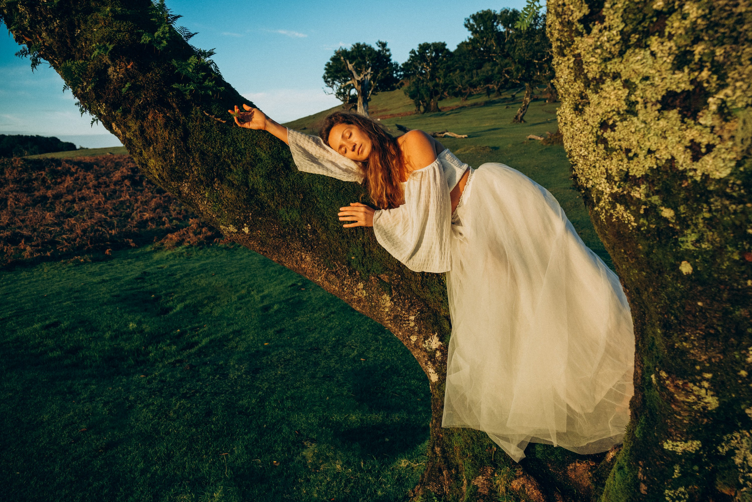 Capturing serene and magical moments among the ancient laurel trees.