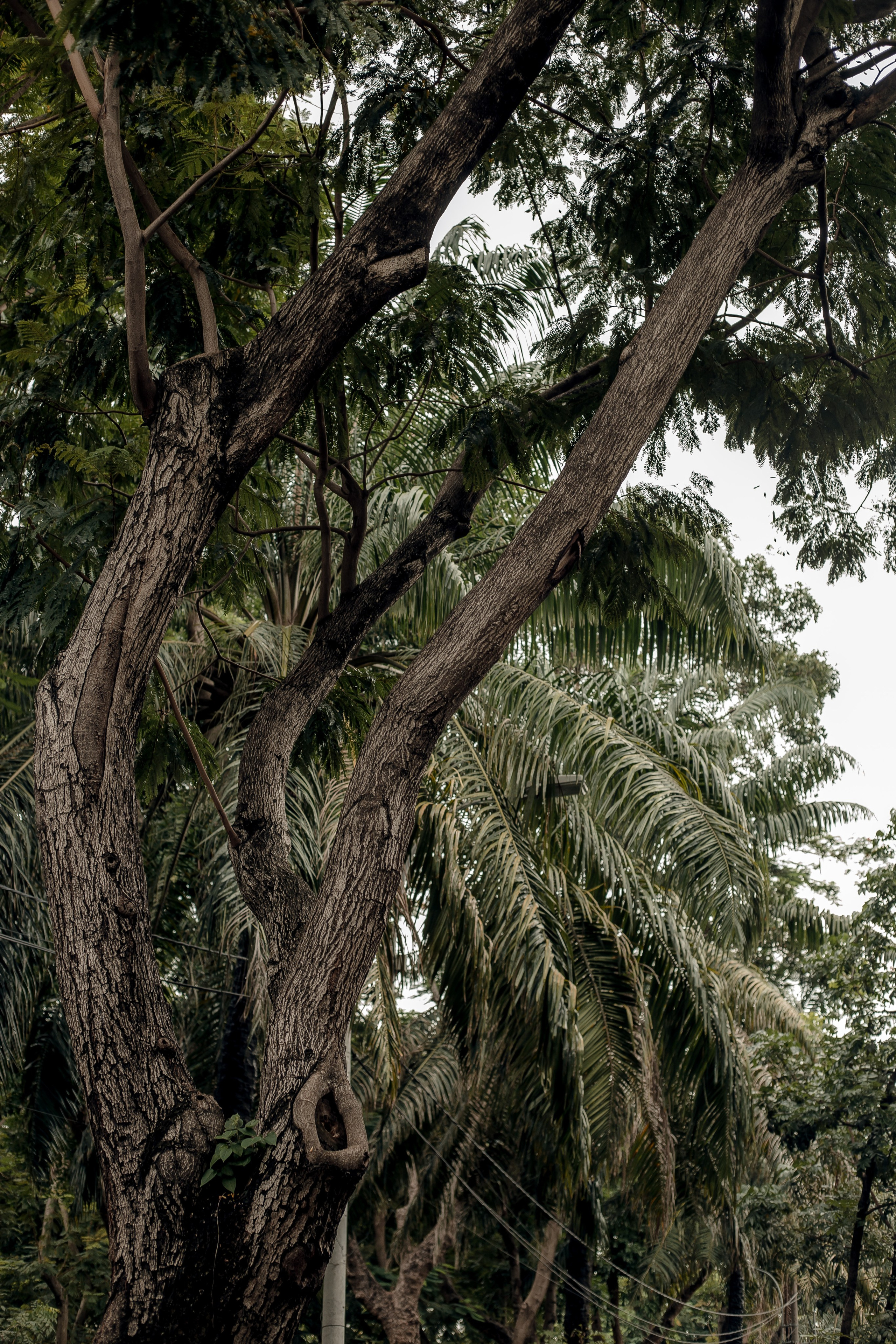 Ho Chi Minh, Vietnam | Part 1| 2025. HOME