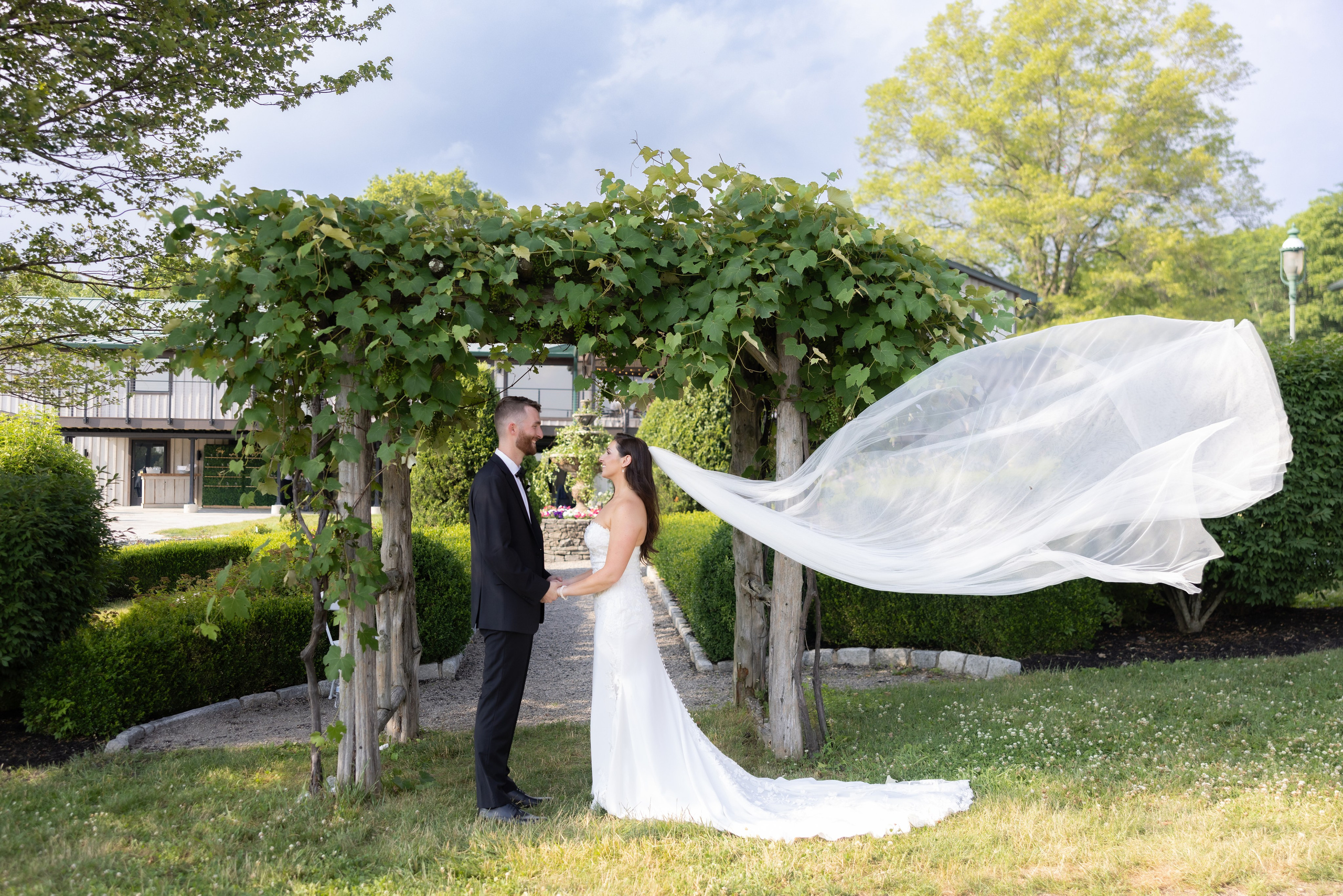 Angelica & Conor. Wedding Photo & Video