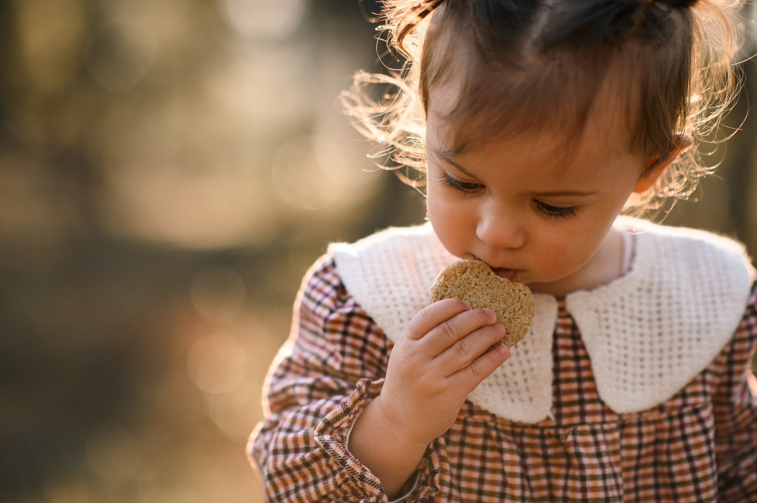 Forest Family. Family, children, portrait, and event photography in Thessaloniki