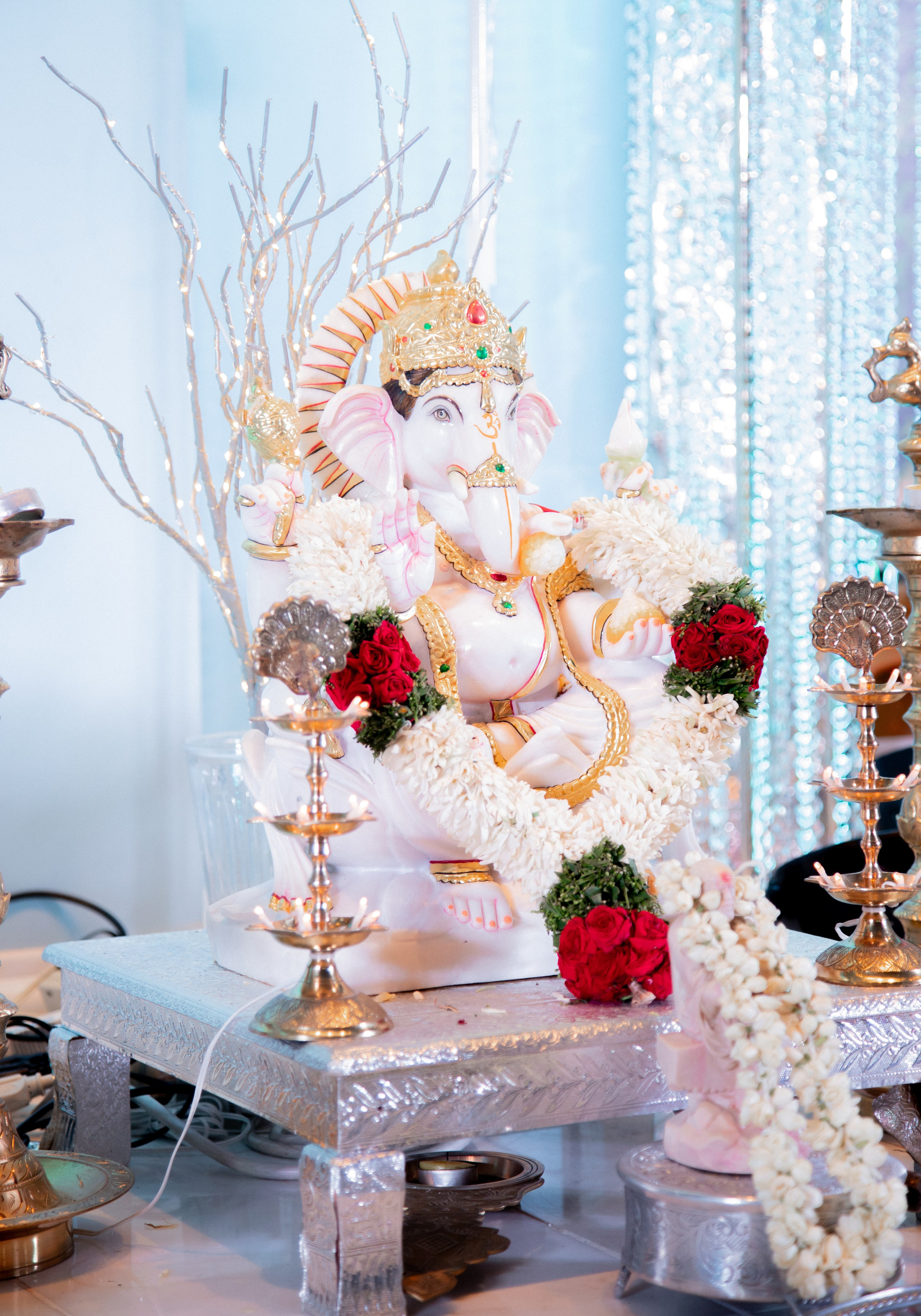 Navitri & Rushi. Wedding Photographer & Videographer