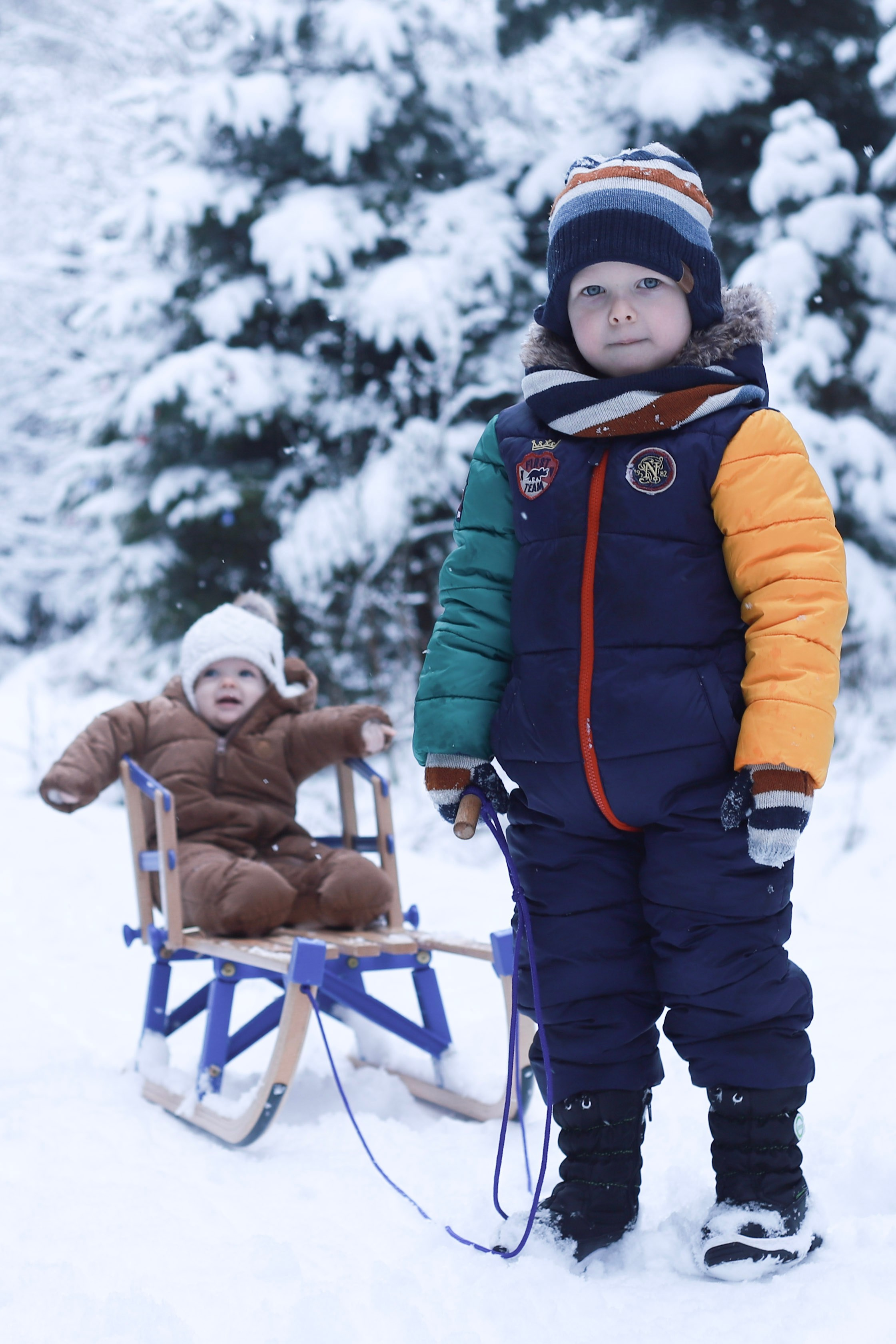 Winterfotografie (im Wald). Olena Fritz Fotografie