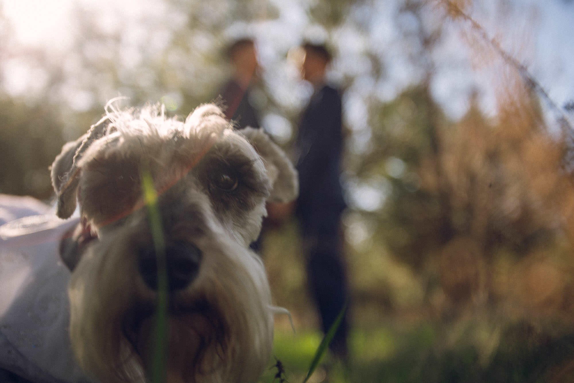 Two Grooms Valle de Guadalupe. Estudio de fotografia en Tijuana