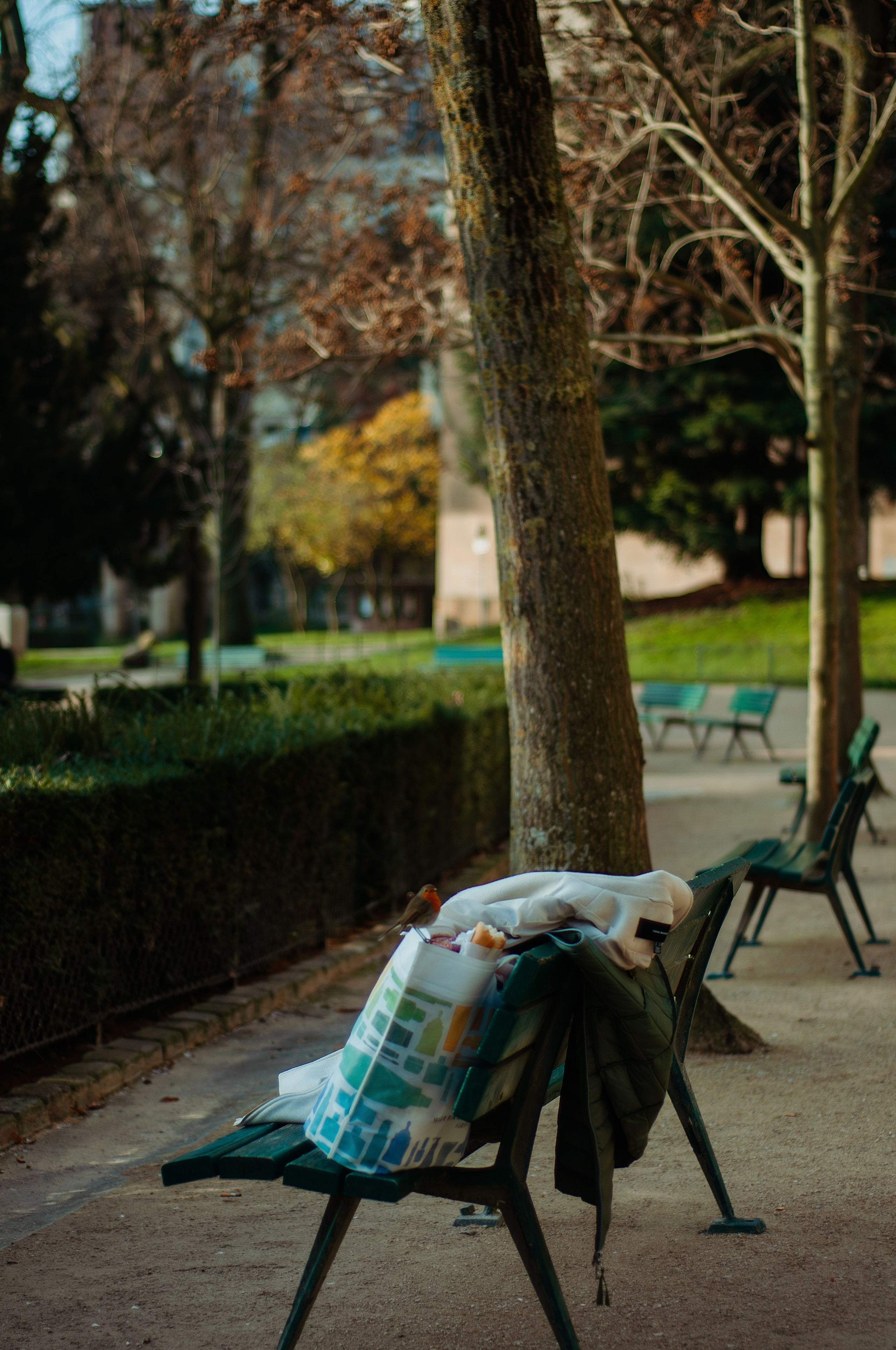 Подруги в Париже. Фотограф в Париже Полина Осипова