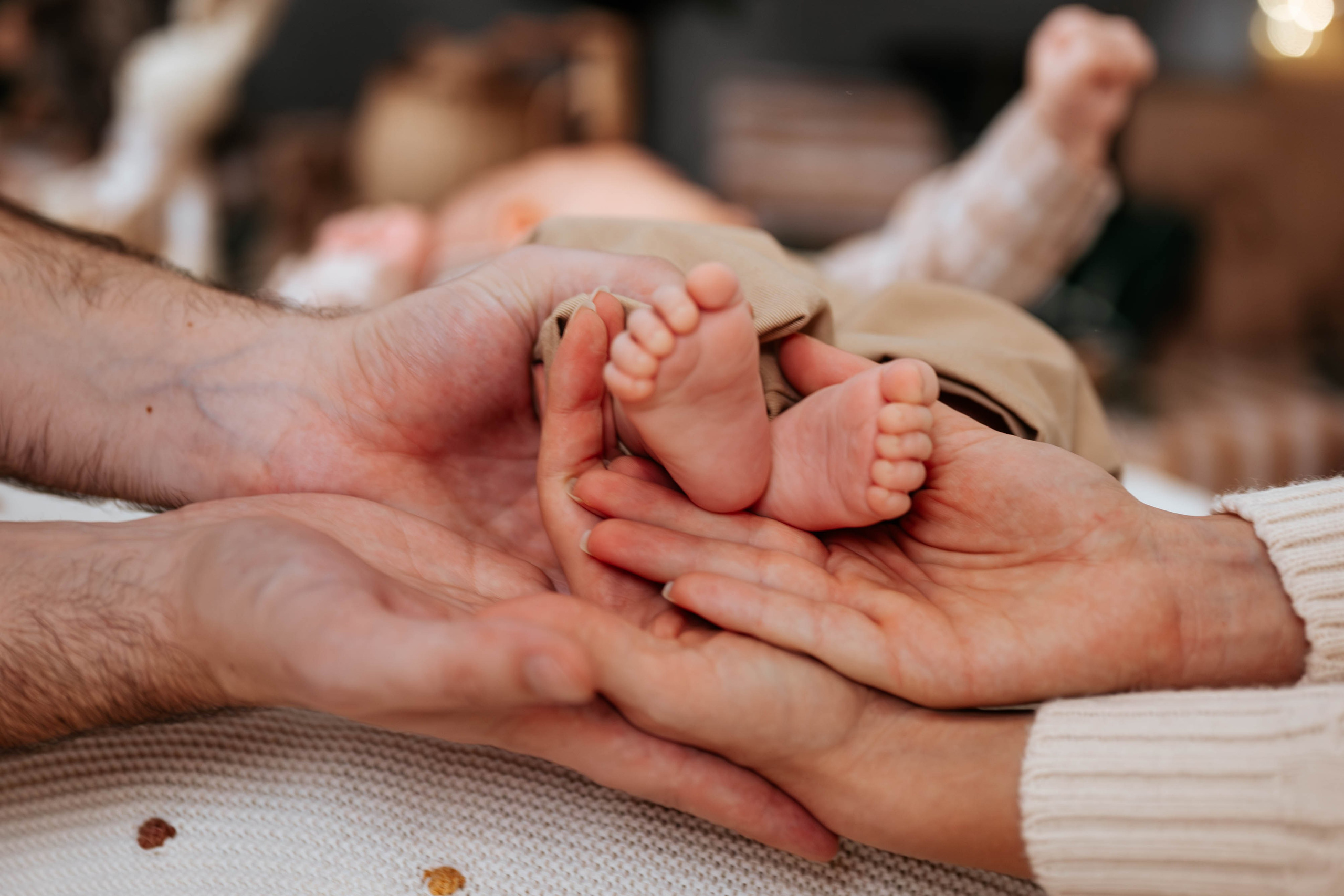 Radosavljevići - novogodišnje fotografisanje. Dečiji i porodični fotograf