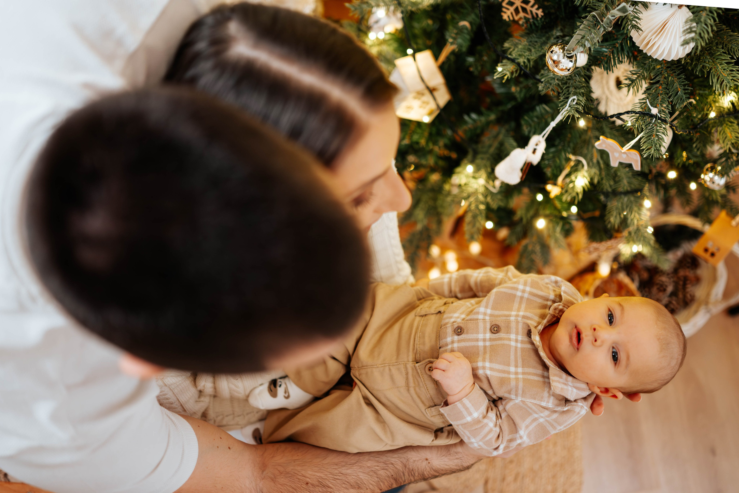 Radosavljevići - novogodišnje fotografisanje. Dečiji i porodični fotograf