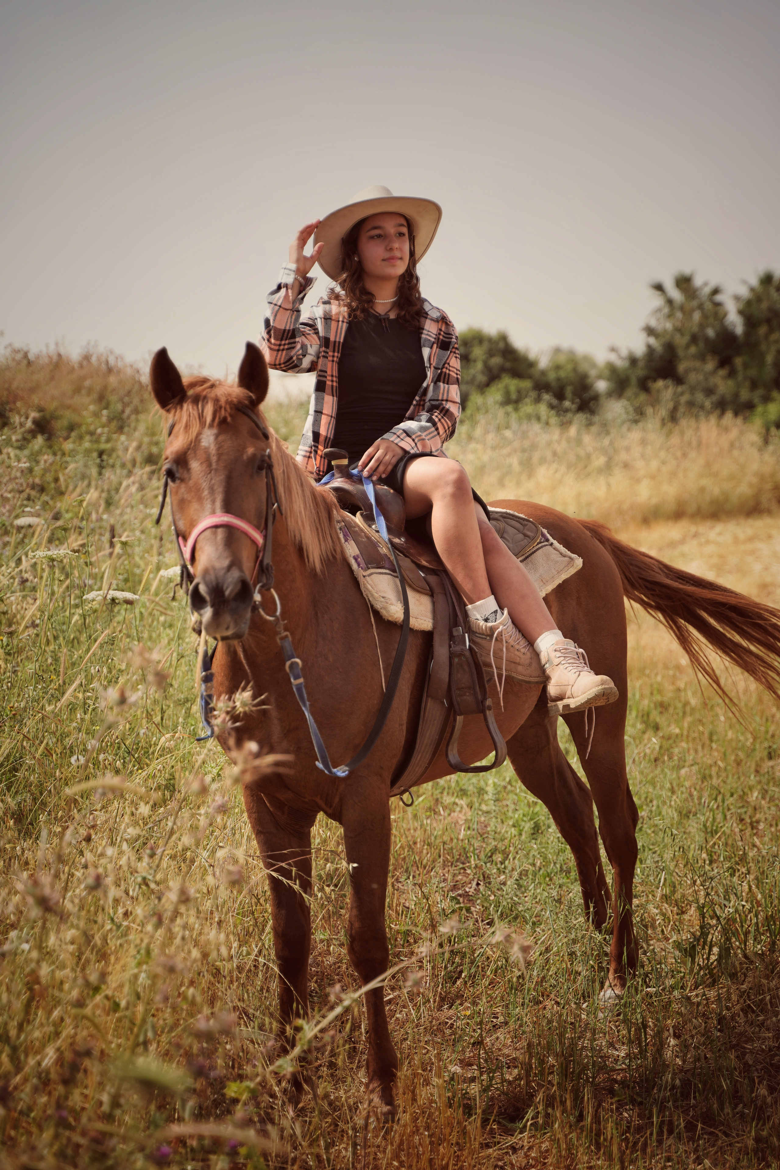 Илана и Гром. Фотограф. Визуал. Хайфа. Талья Цветкова