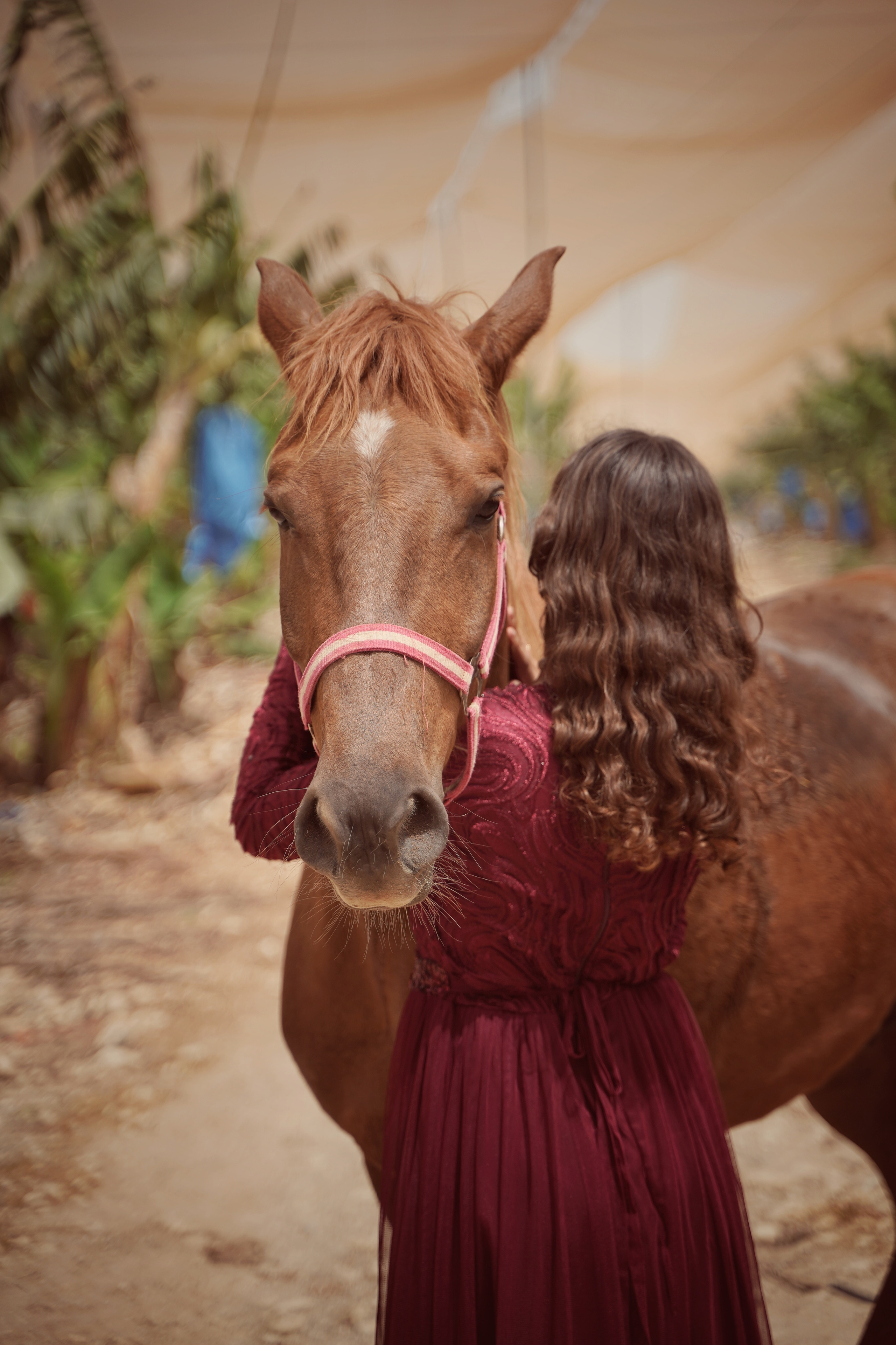 Илана и Гром. Фотограф. Визуал. Хайфа. Талья Цветкова