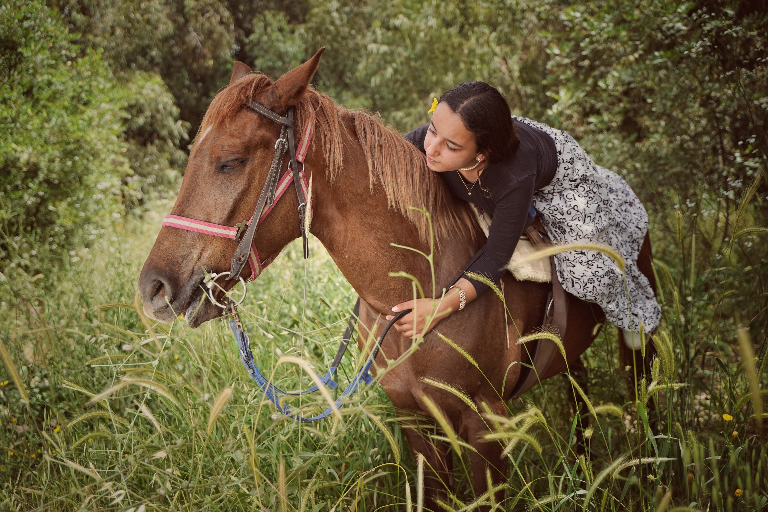 Илана и Гром. Фотограф. Визуал. Хайфа. Талья Цветкова