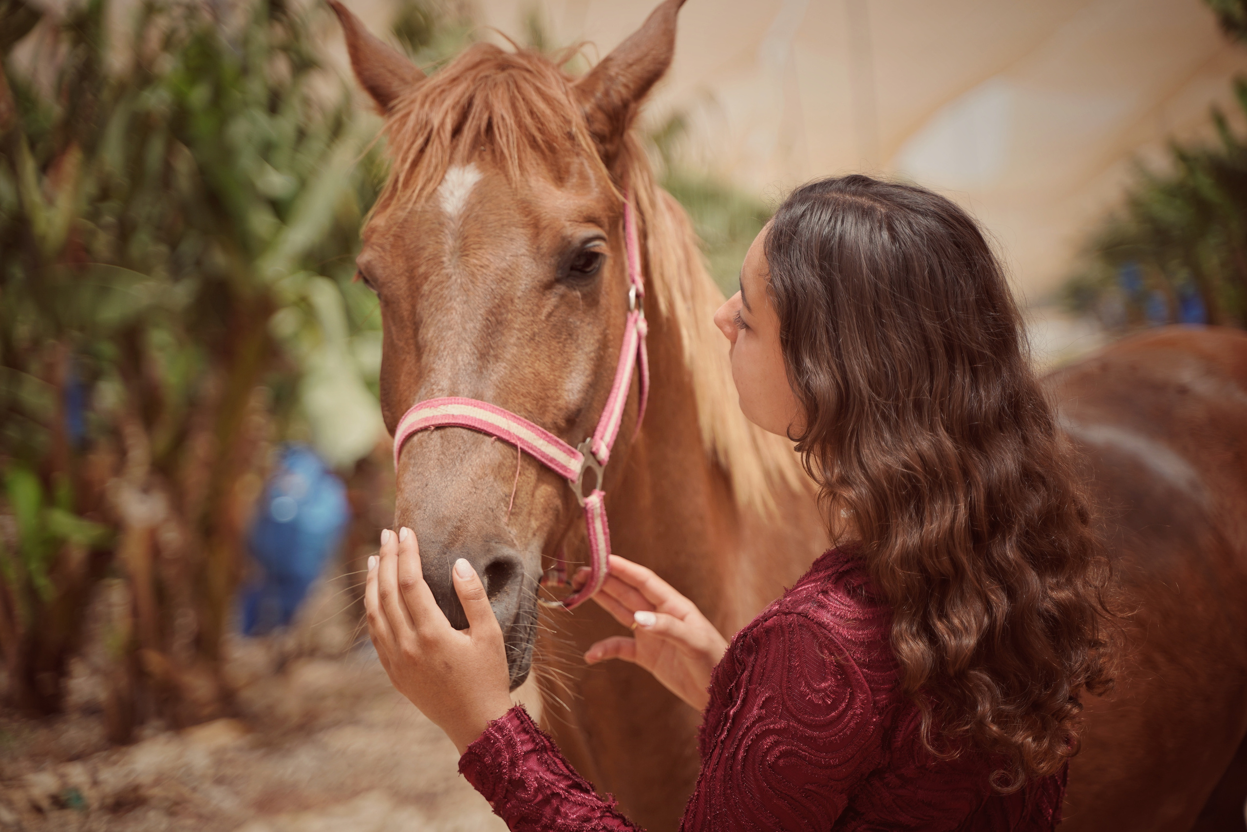 Илана и Гром. Фотограф. Визуал. Хайфа. Талья Цветкова